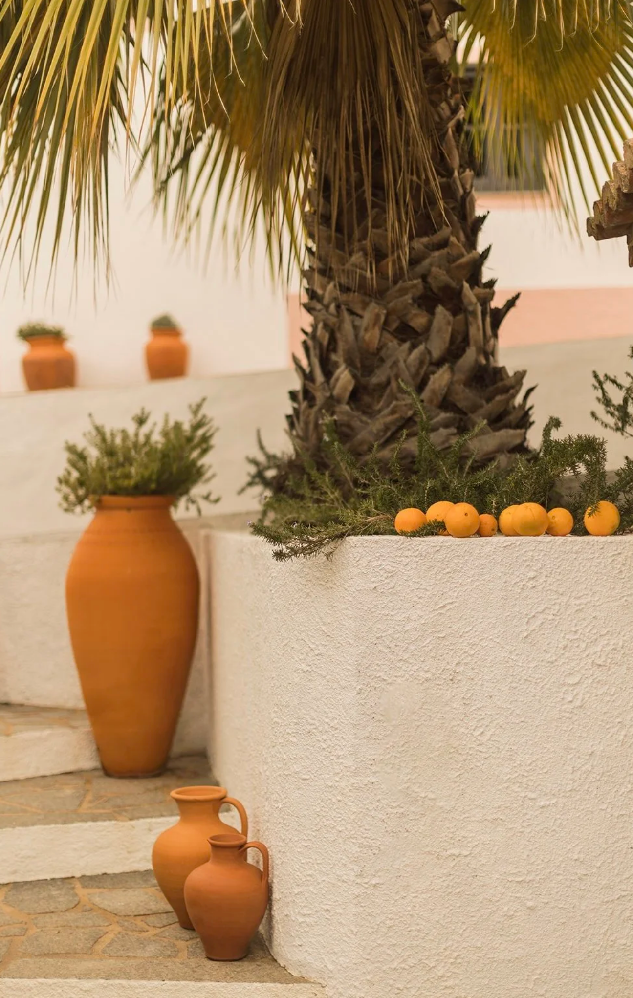 Terrakotta-Vasen mit Kaktus am Abend, Palmenstamm und Orangen in Blumentopf auf weißem Podest, zwei kleinere Terrakotta-Vasen auf dem Boden.