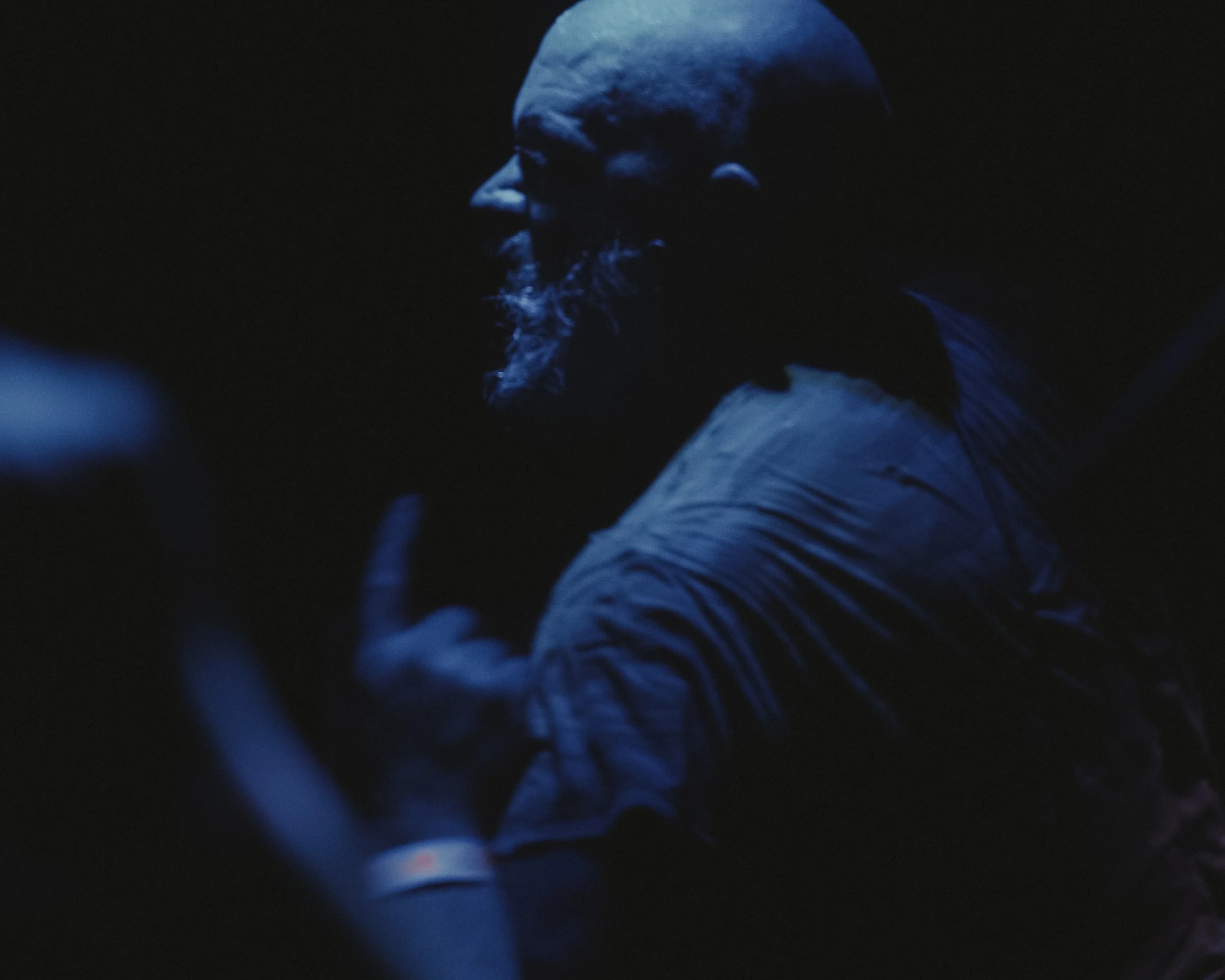 Bear vs. Shark
