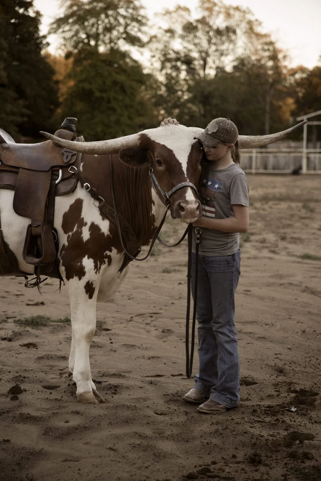 Longhorn-rider-georgia-faith-hill00105.jpg