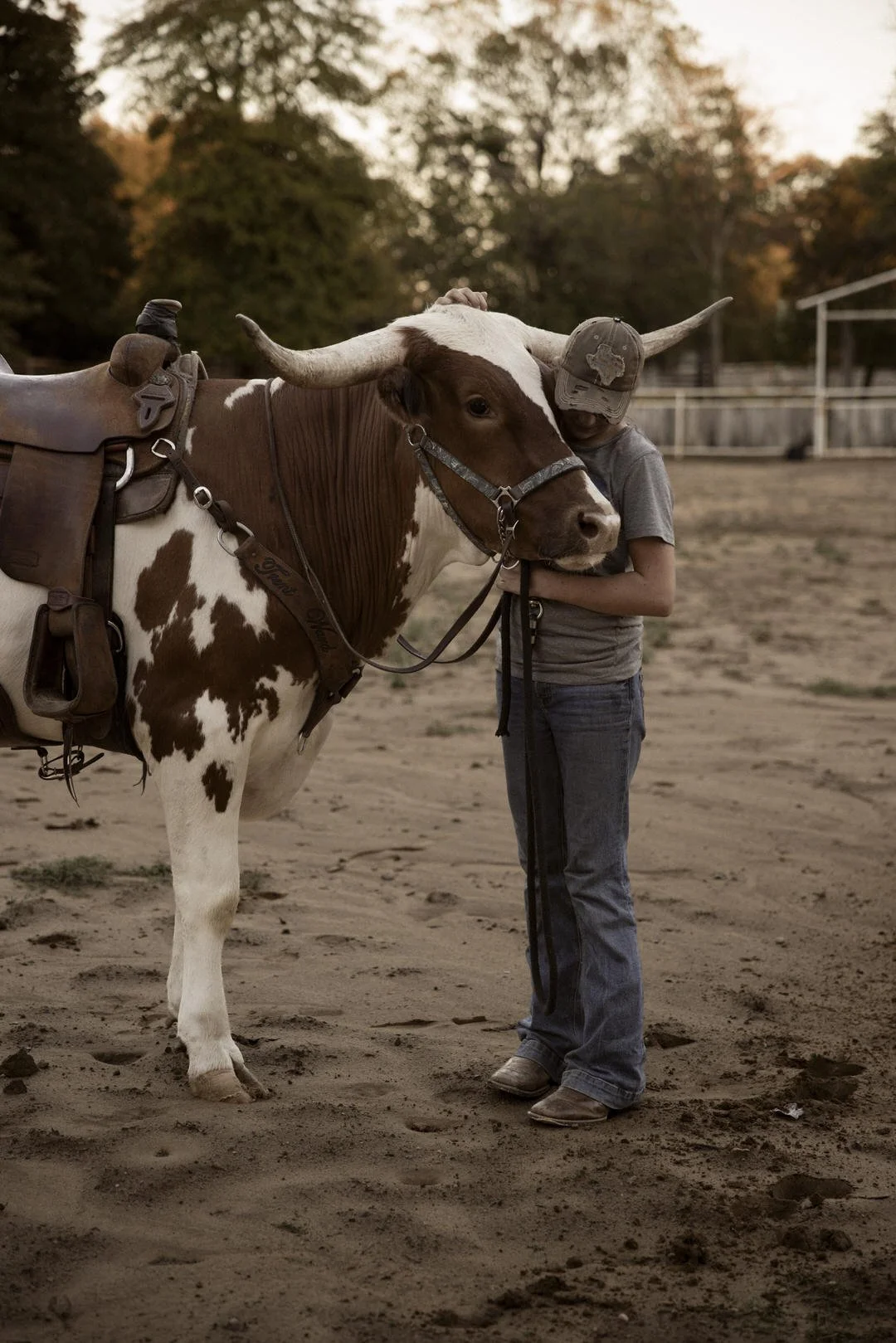 Longhorn-rider-georgia-faith-hill00106.jpg