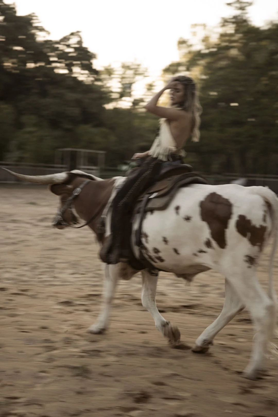 Longhorn-rider-georgia-faith-hill00075.jpg