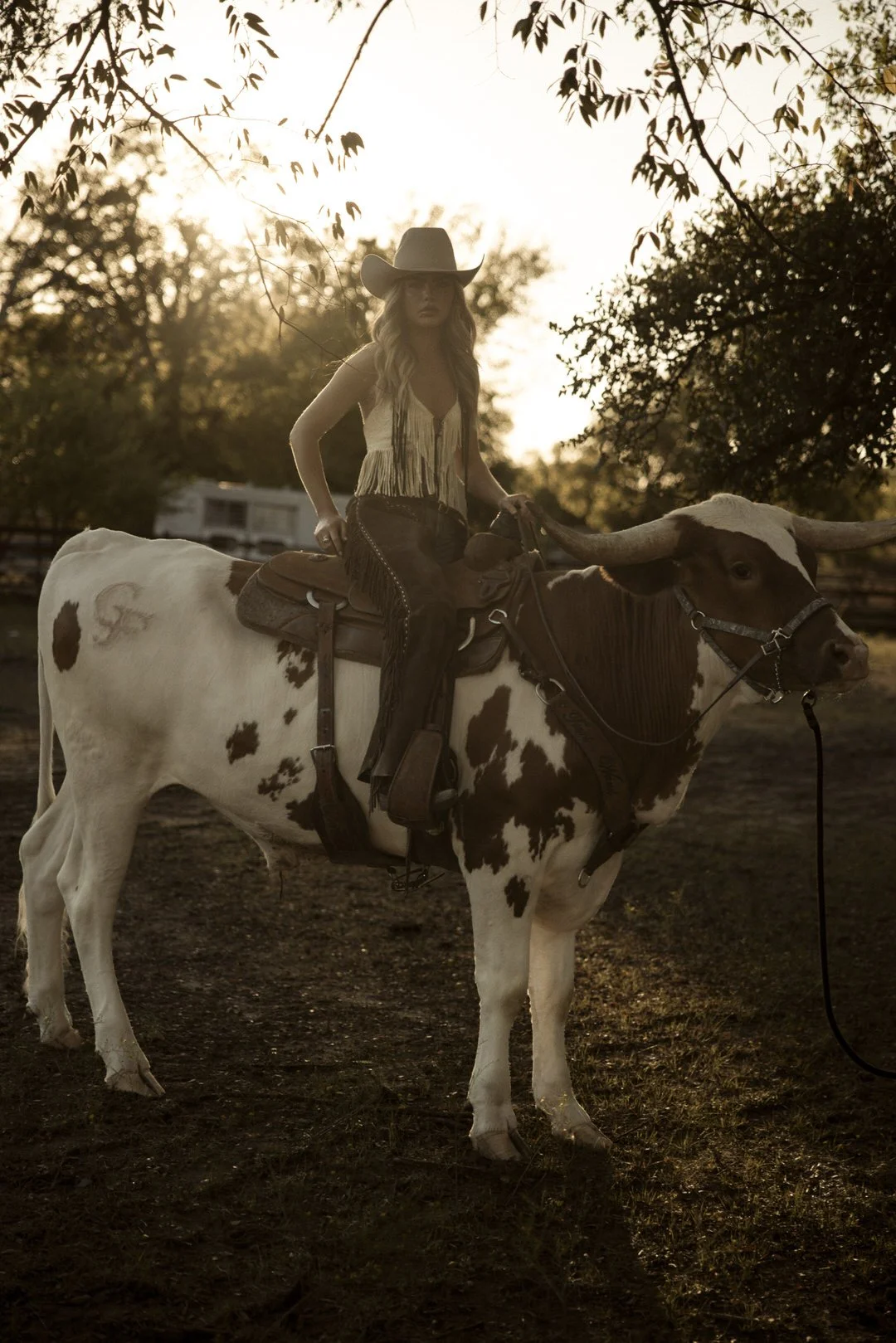 Longhorn-rider-georgia-faith-hill00032.jpg