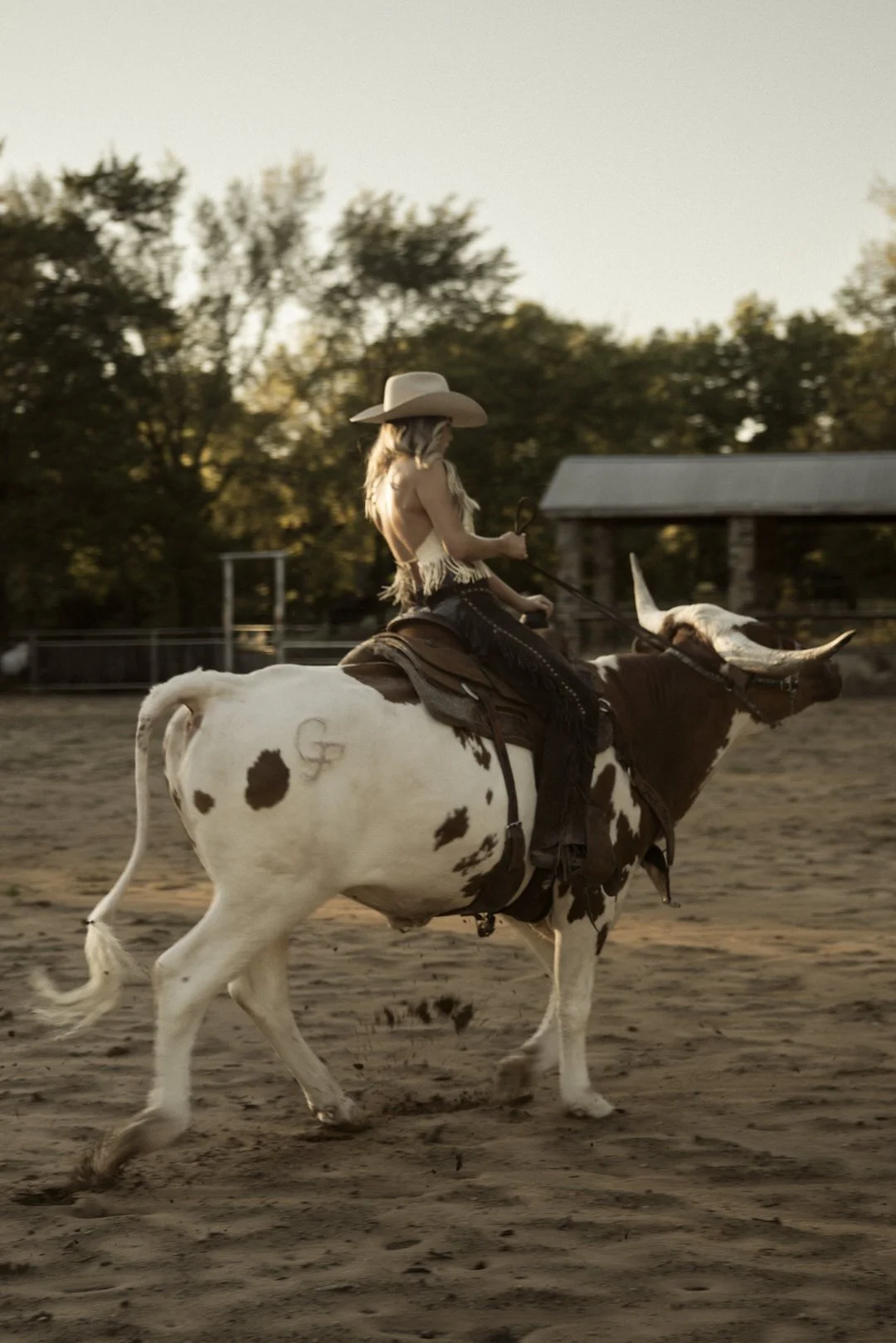 Longhorn-rider-georgia-faith-hill00034.jpg
