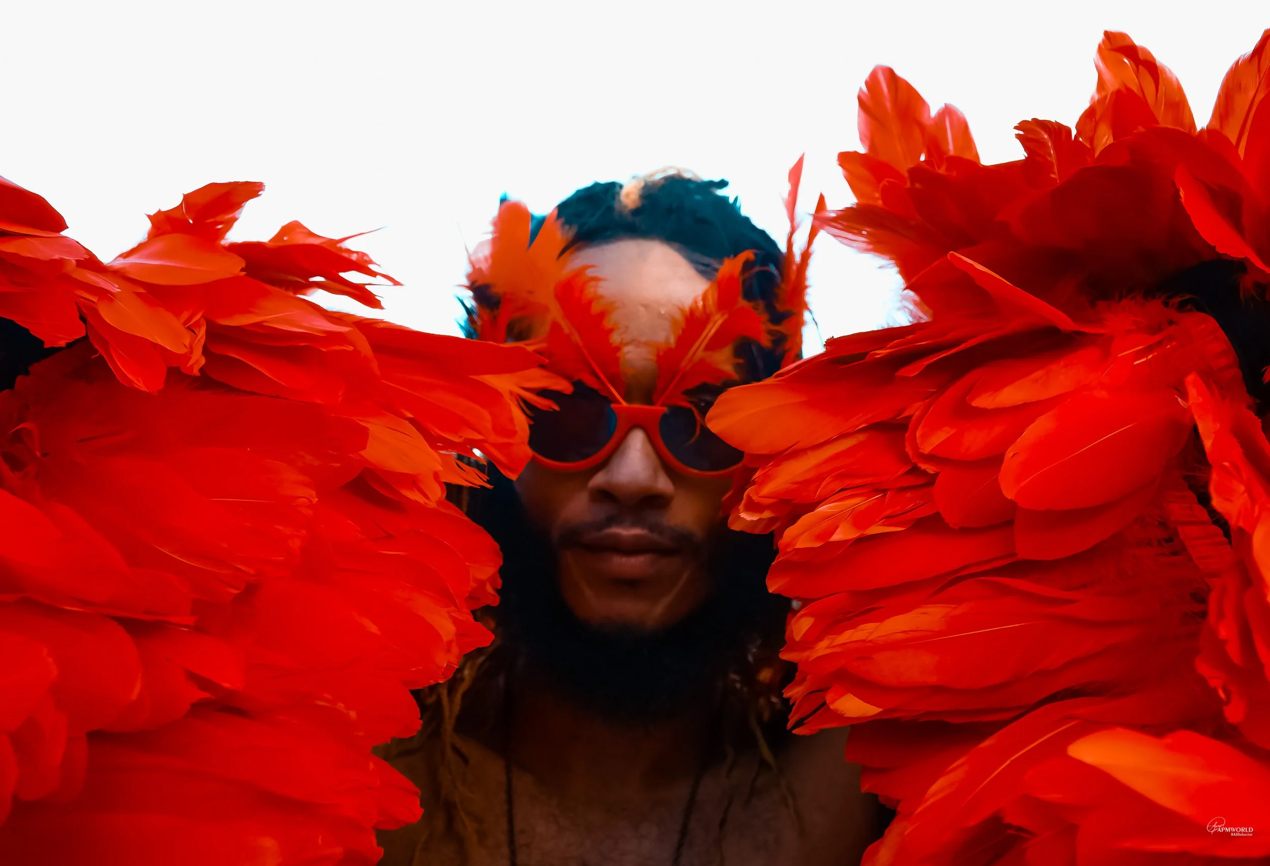 AFROPUNK DAY 1-287.JPG