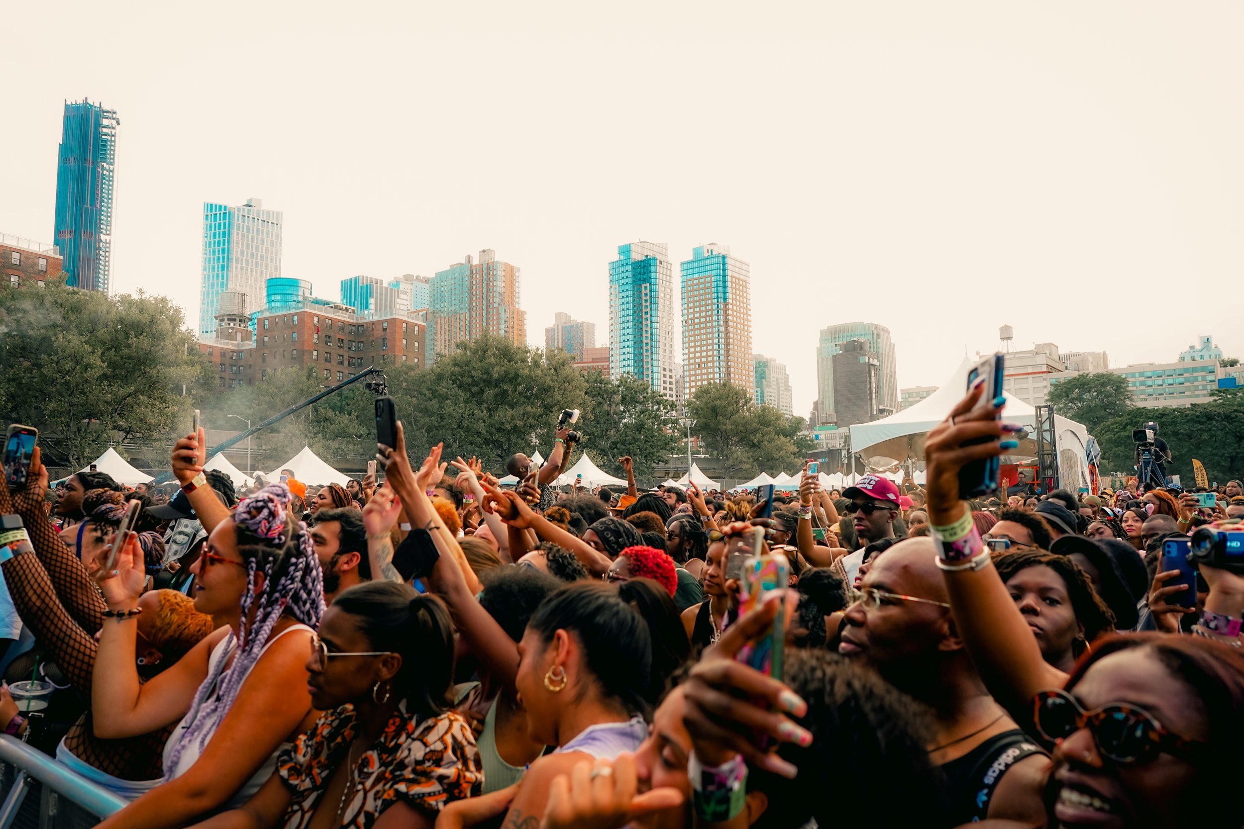 AFROPUNK DAY 1_-89.JPG