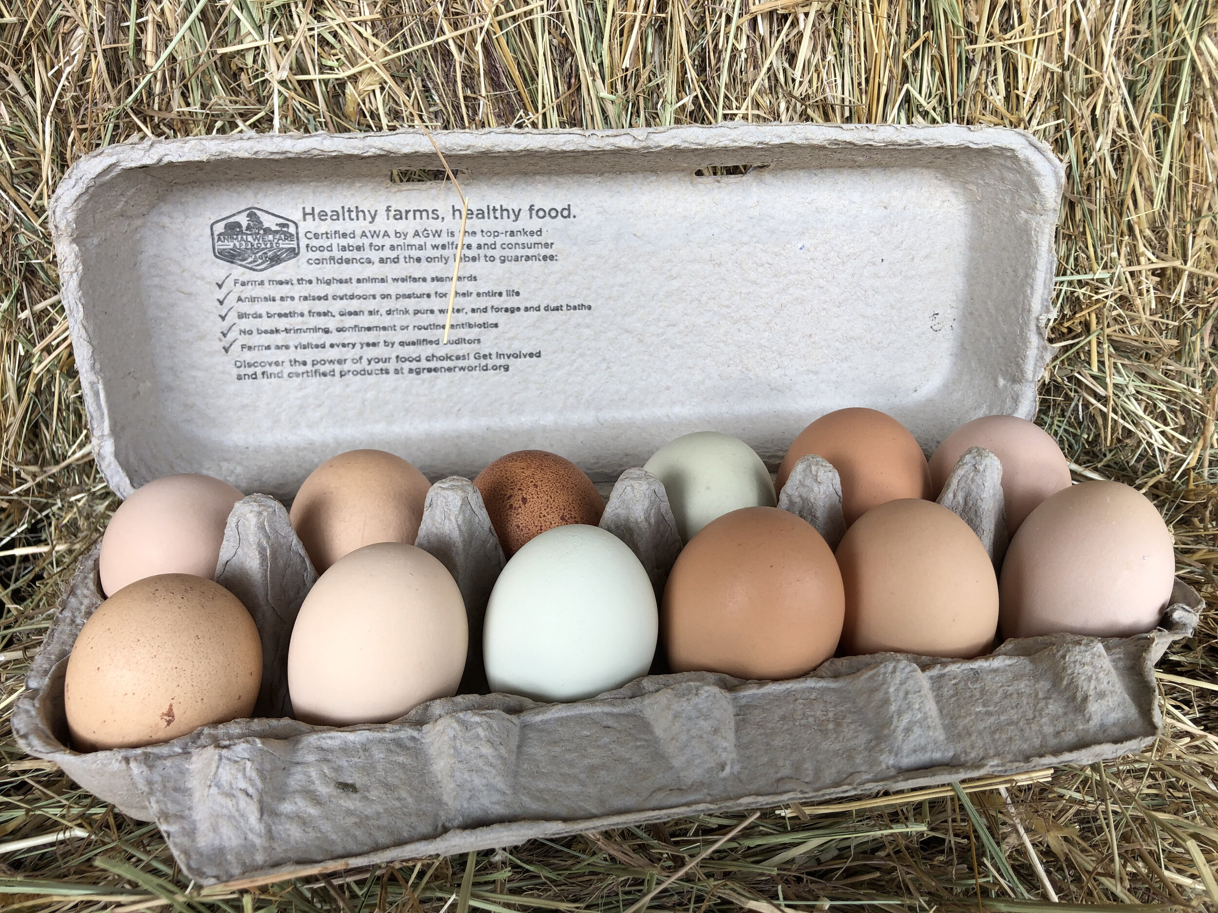 EGGS — NAKED ACRES FARM EGGS — NAKED ACRES FARM