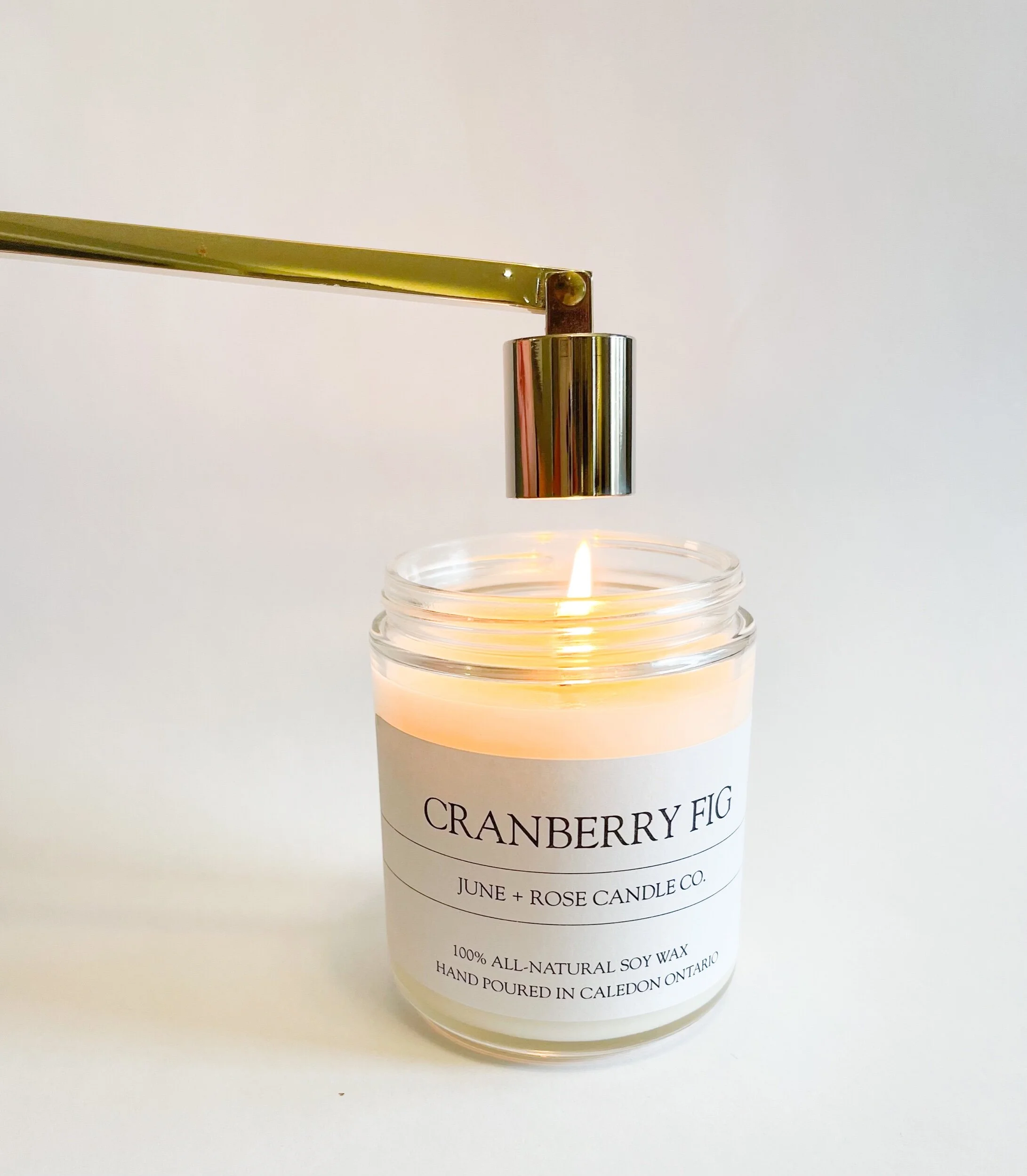 45FC6D73-DA23-449D-964B-0978182E1919