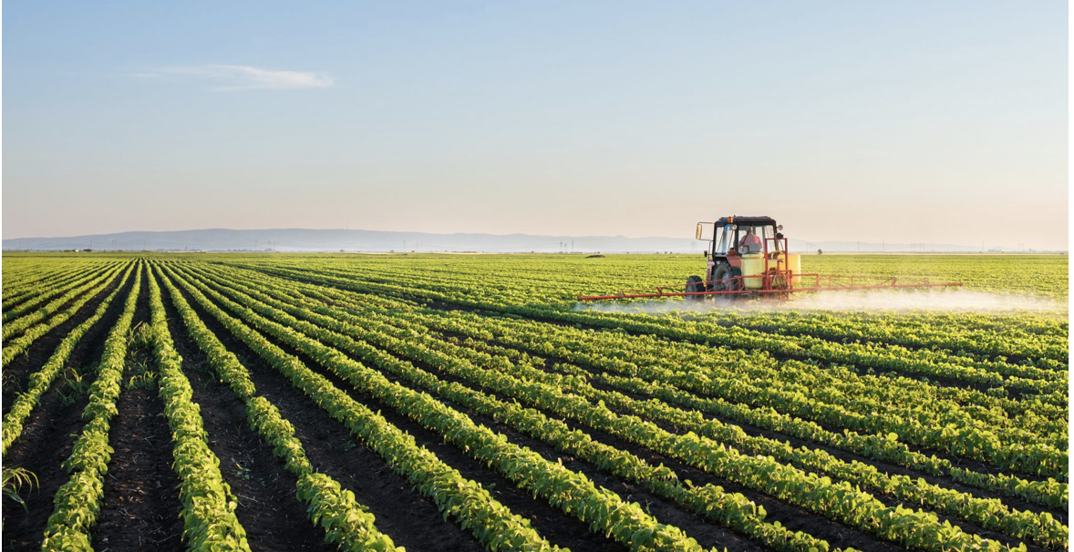 Economic Impacts of Climate Change to the Agricultural Sector