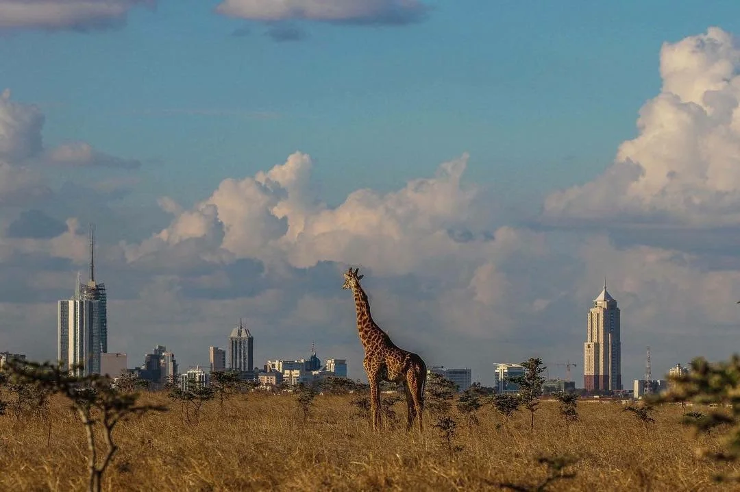 Limitations on growth for states in Sub-Saharan Africa