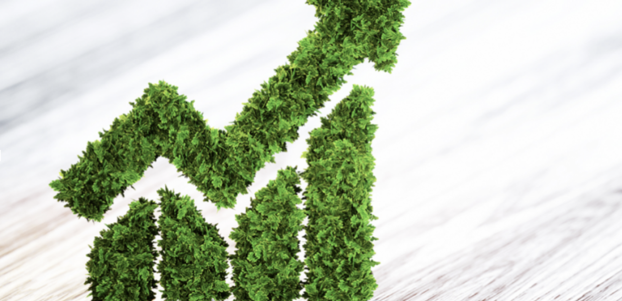 The Future of the Green Bond market 2.0  