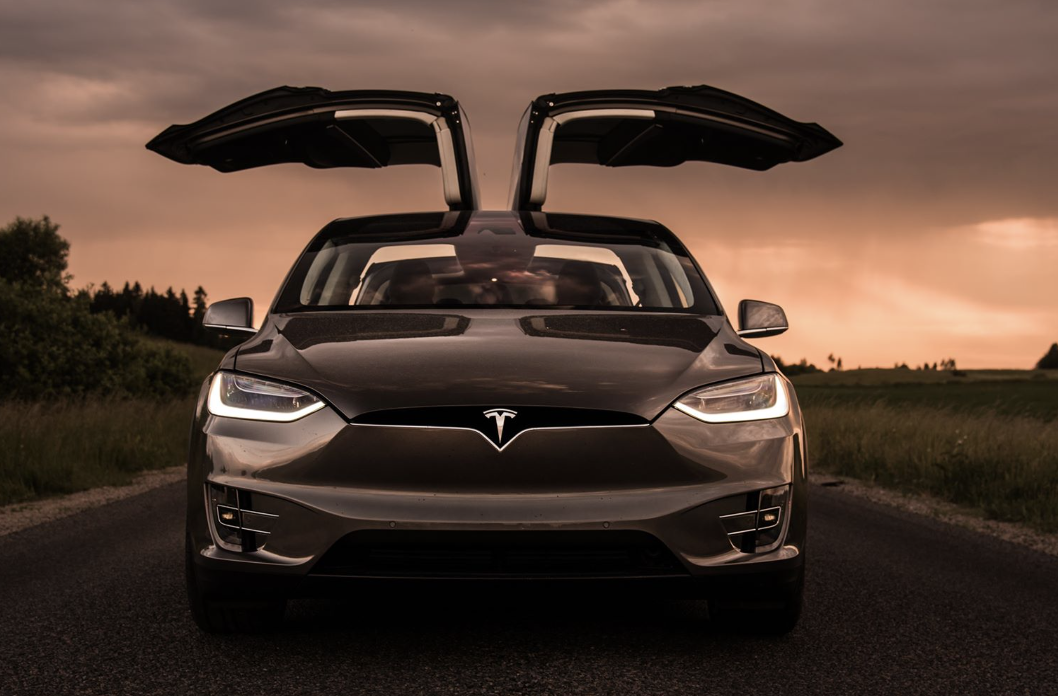 Tesla being Robust against the Bear Market