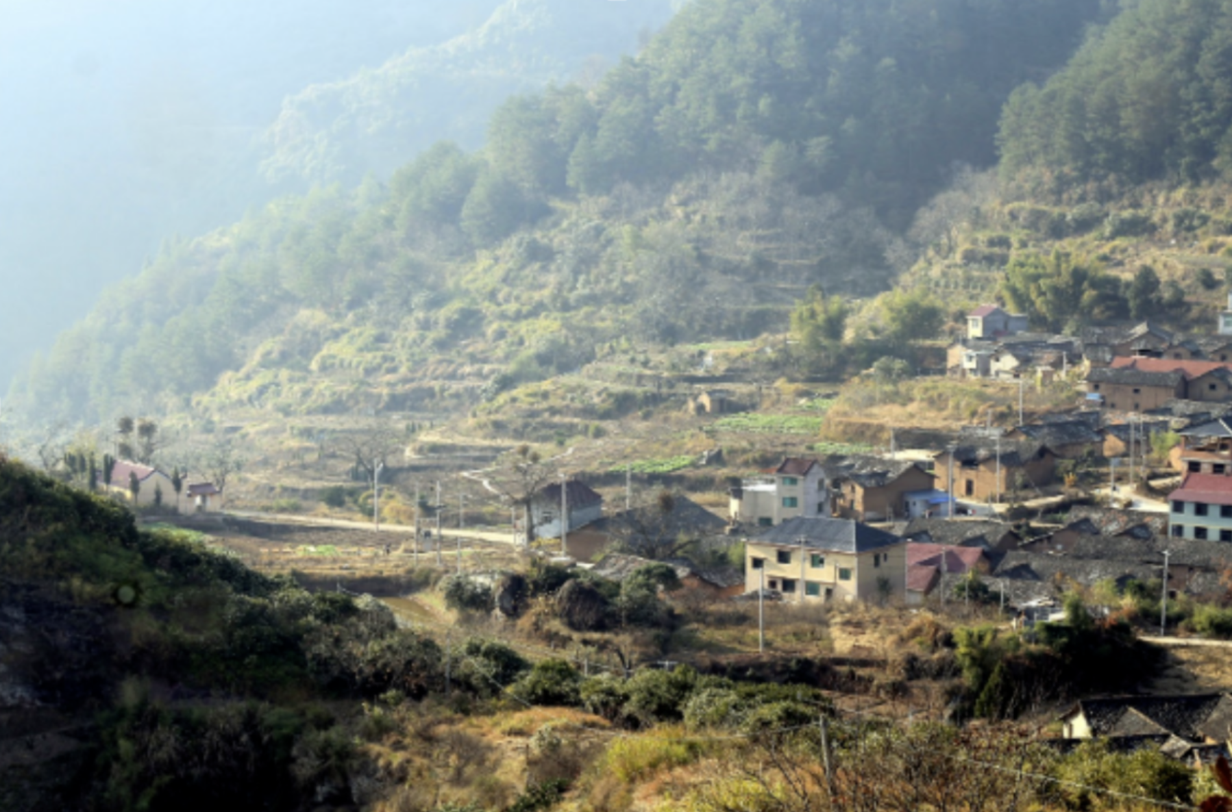 What Does a Shift Towards Urbanization Really Look Like?  