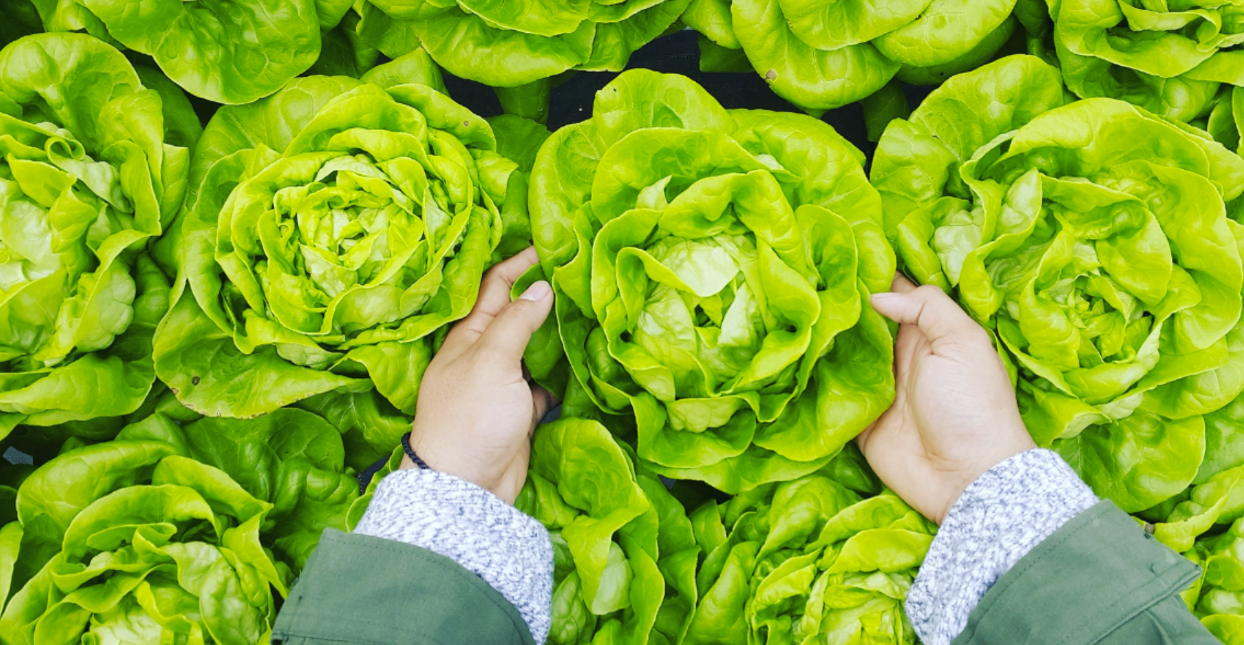 Is Buying Local Always Better?