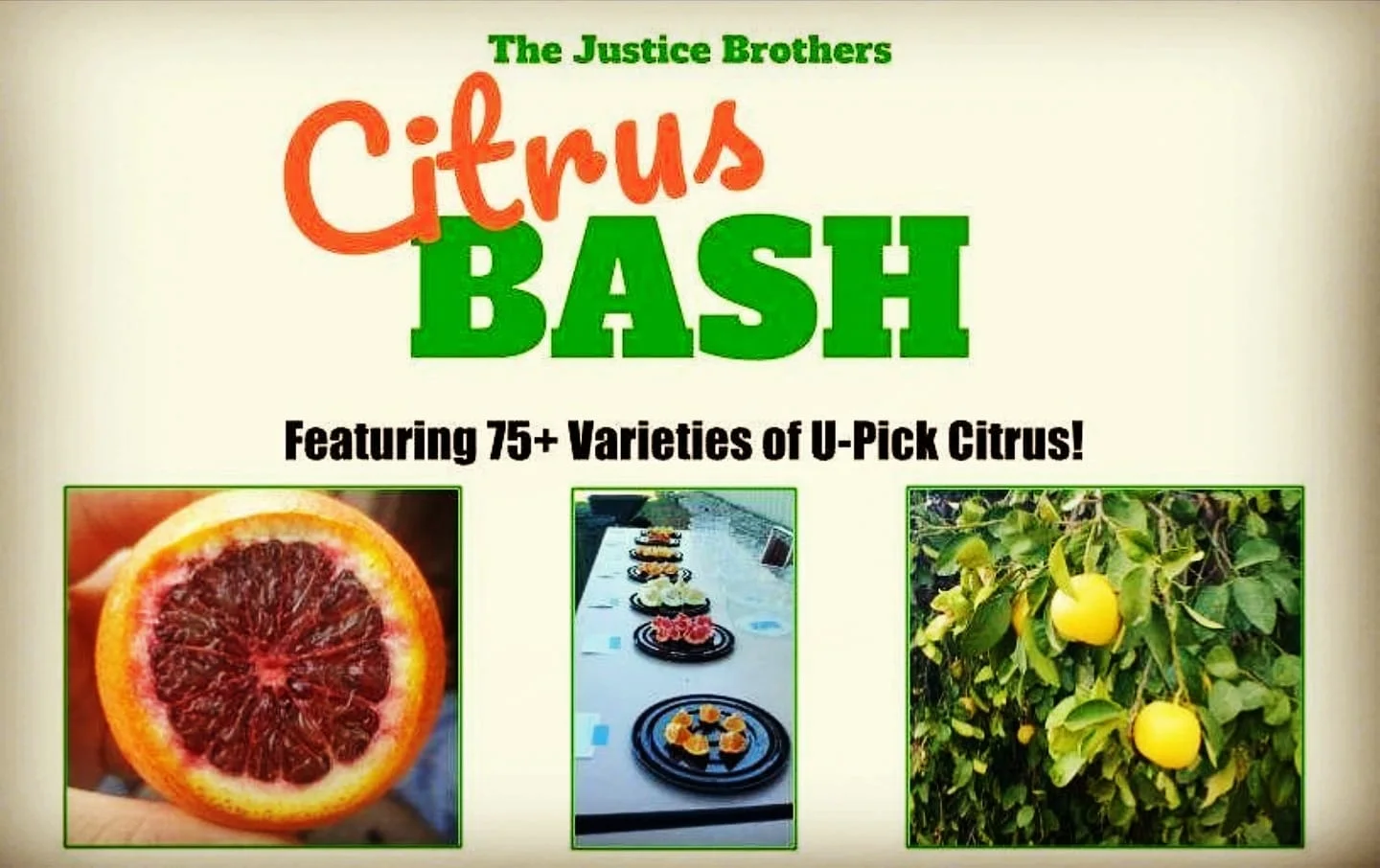 citrus bash.jpg