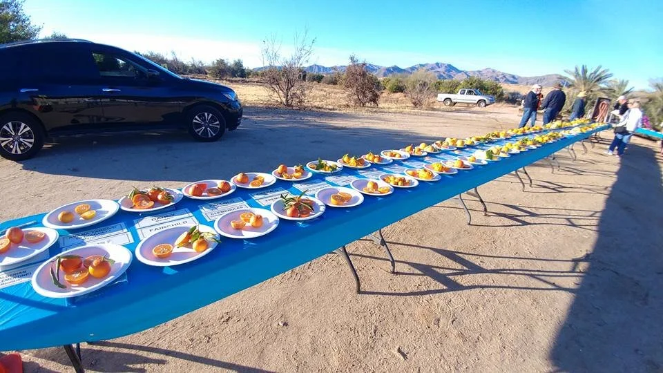 2018-01 upick citrus clinic tasting table.jpg