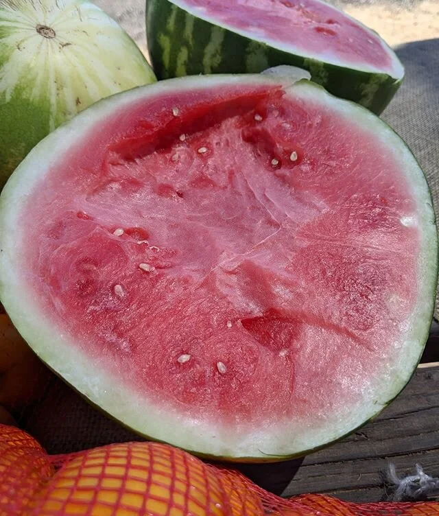 Starting the summer off right 🍉