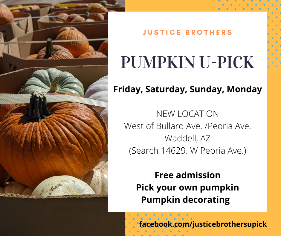 2020 pumpkin patch.png