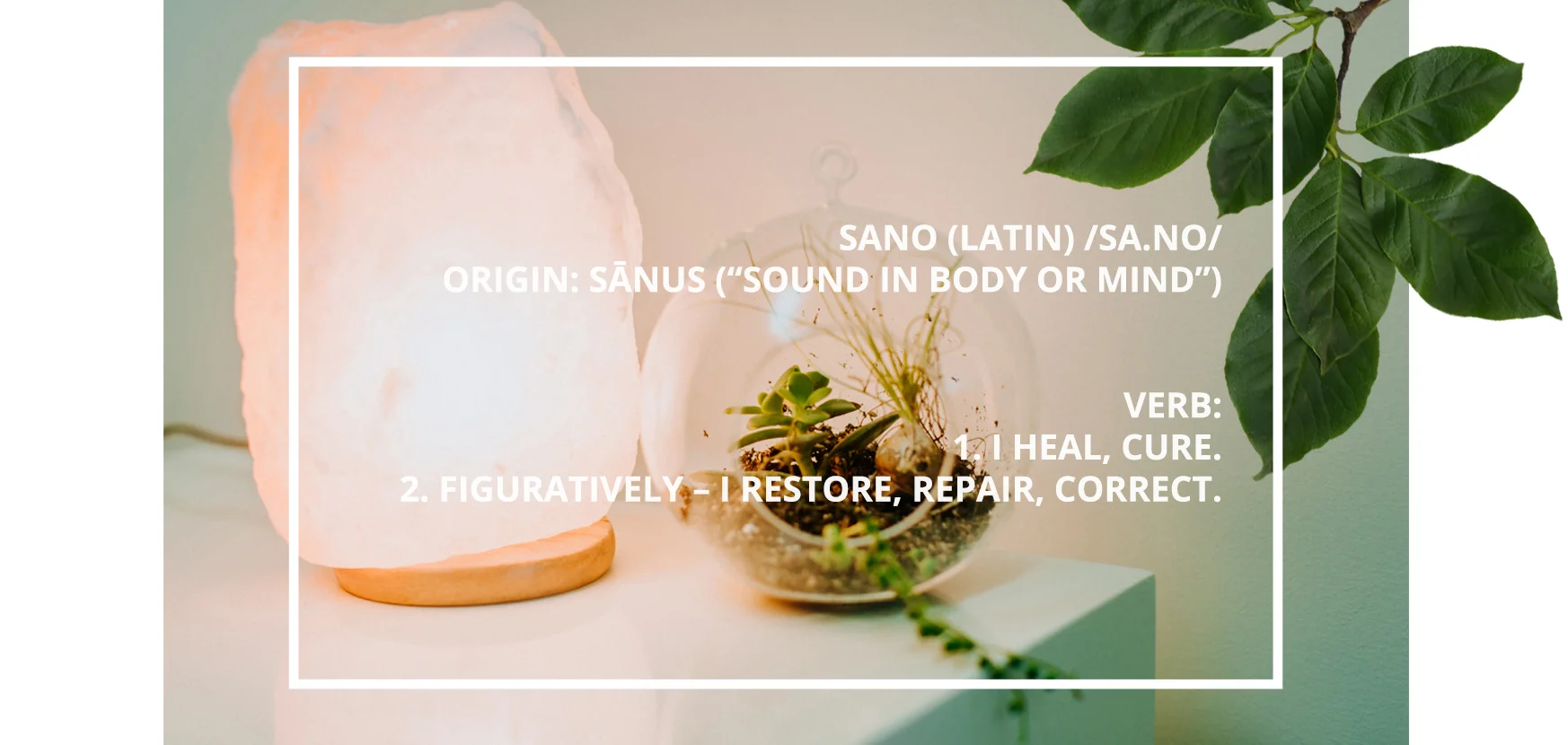 sano definition2.jpg
