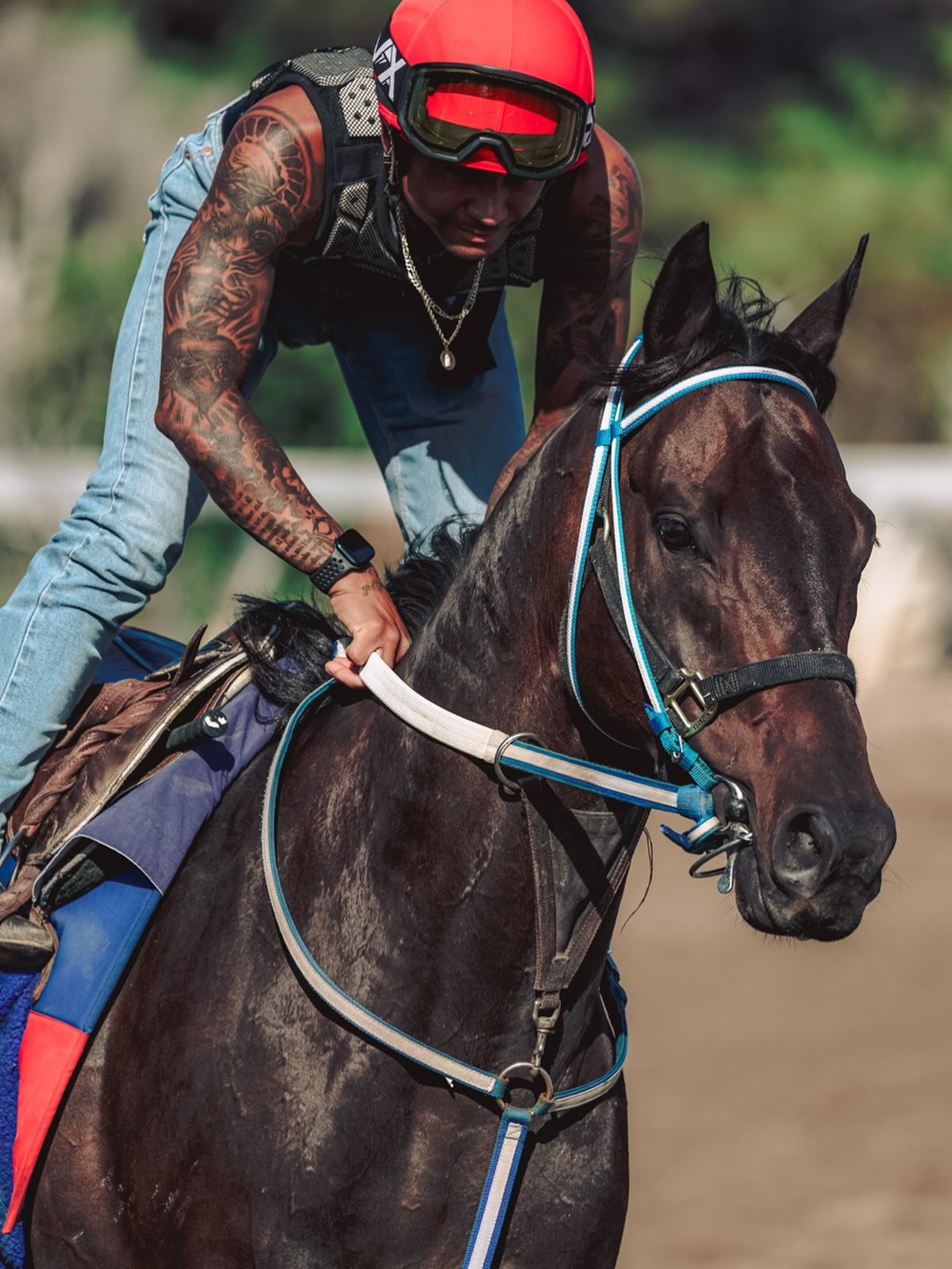 This guy is just cool 😎 

#racetracks #horseracing #horseportraits #equinephotographer #horselovers #beautiful #catwalktrackwalk