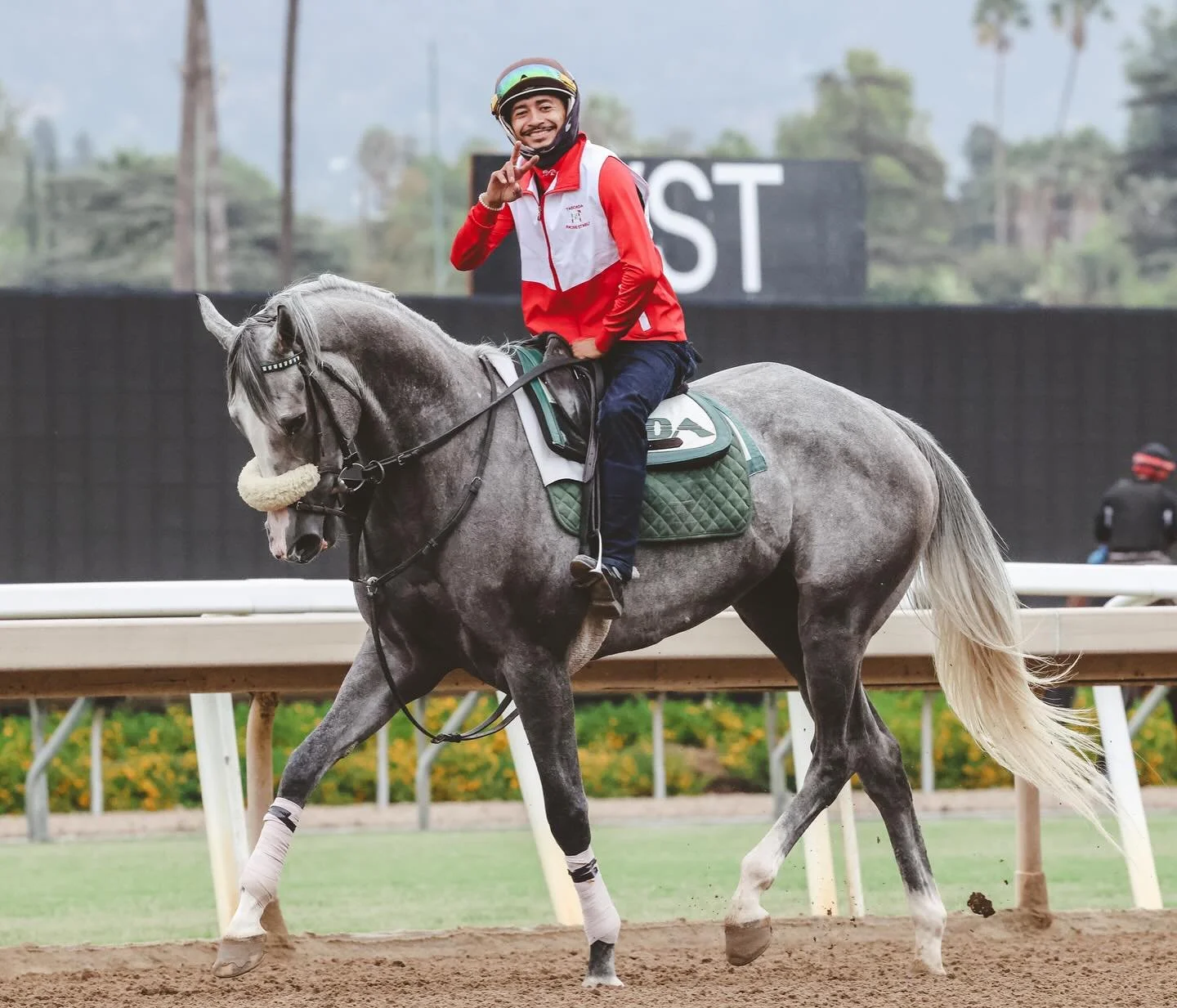 Thank you for the looks 👀 ✌️ 

#racetracks #horseracing #horseportraits #equinephotographer #horselovers #beautiful #catwalktrackwalk