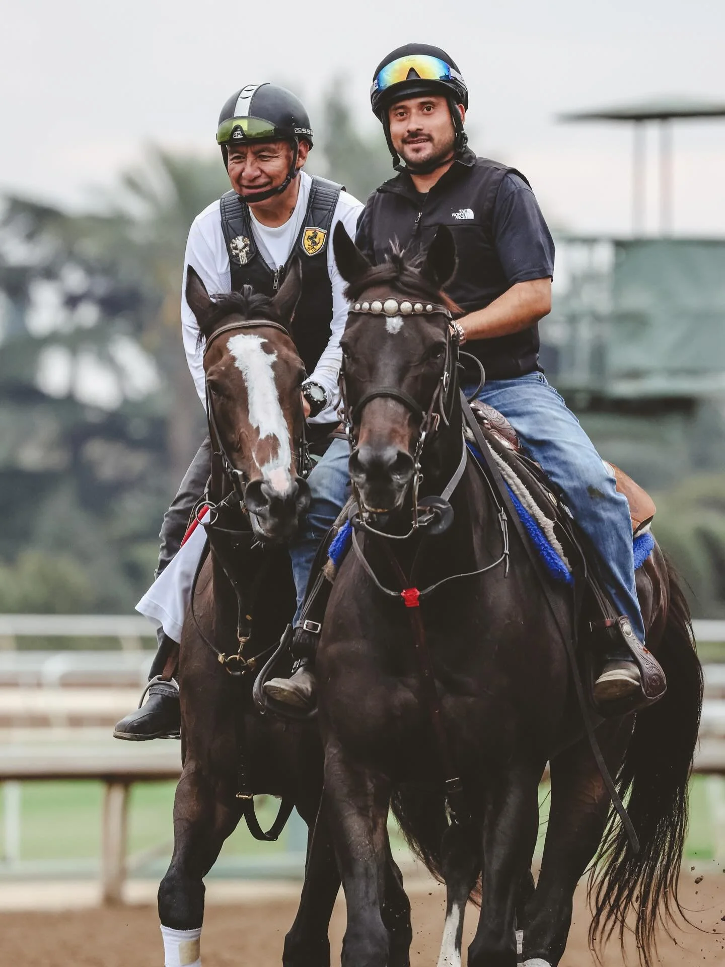 Good morning America 🇺🇸 👀

#racetracks #horseracing #horseportraits #equinephotographer #horselovers #beautiful #catwalktrackwalk