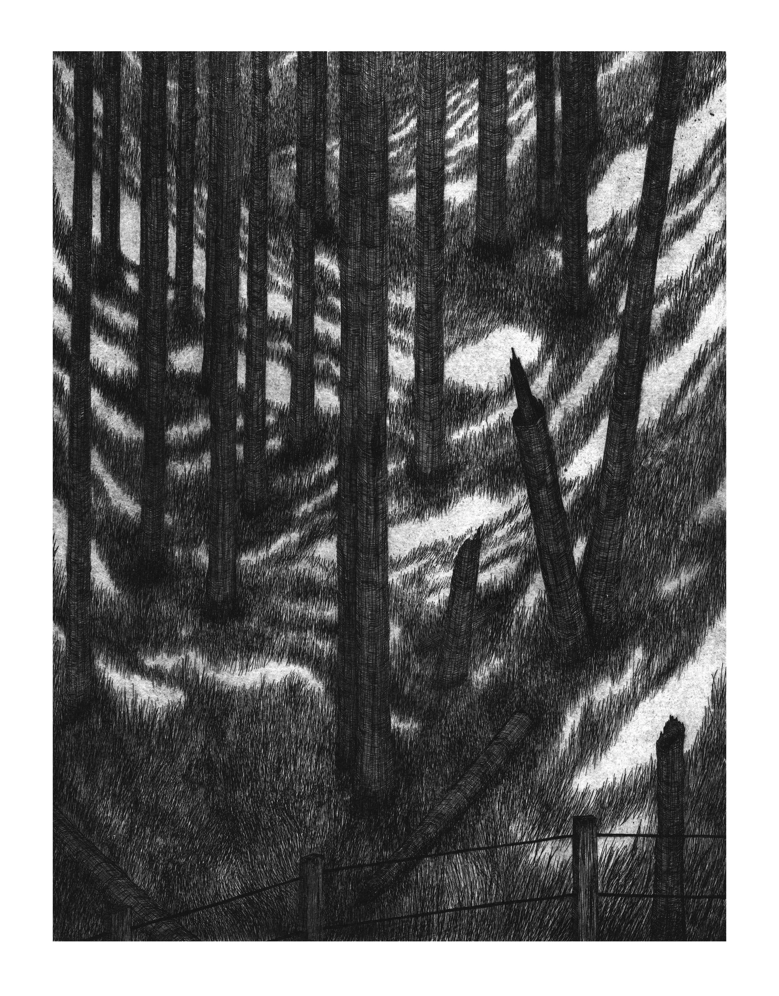   January Stereo   Intaglio, chine colle  10 × 15 inches  2026 