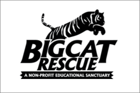 Big Cat Rescue.png