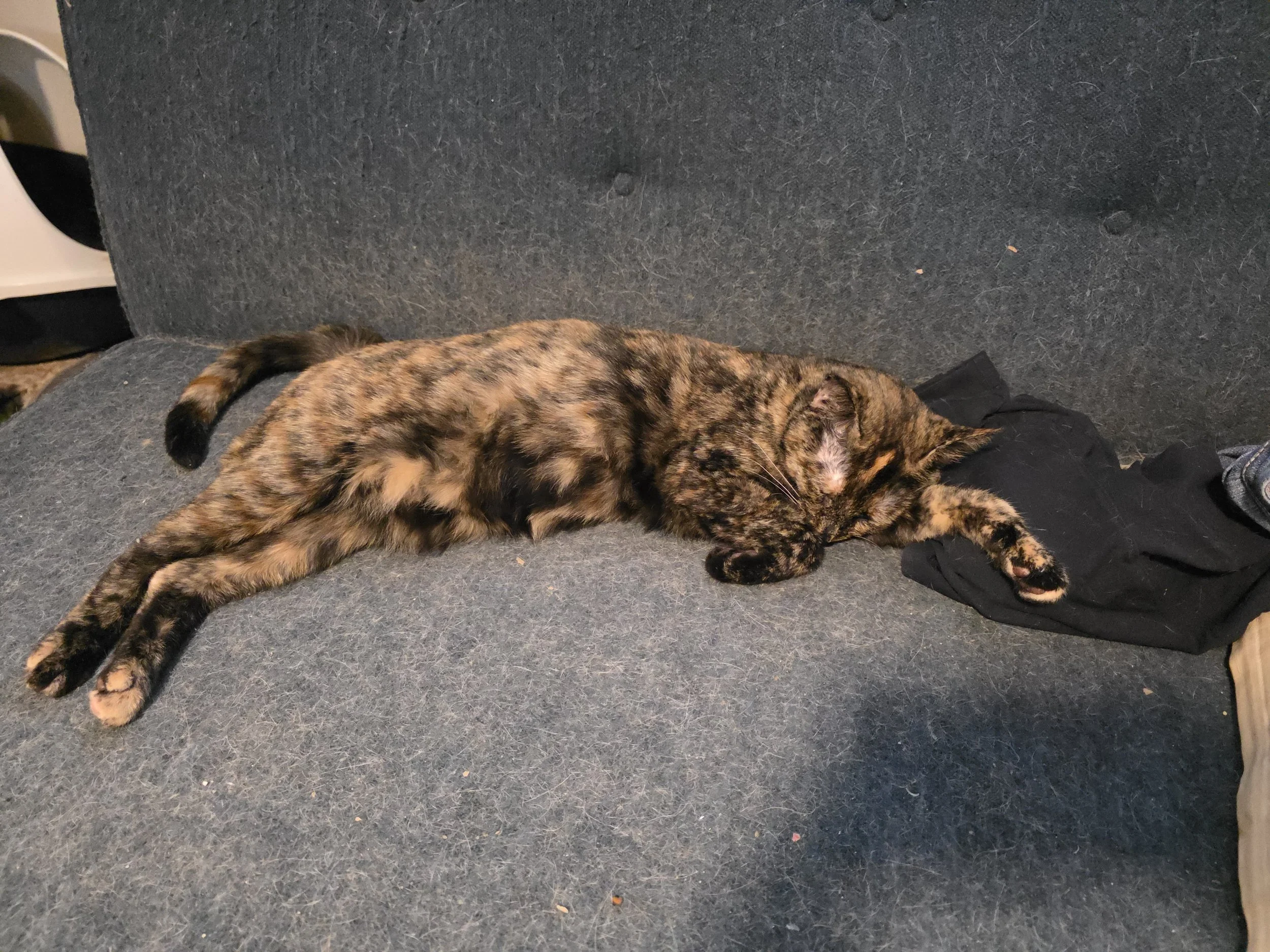 Serena (Teen Female)