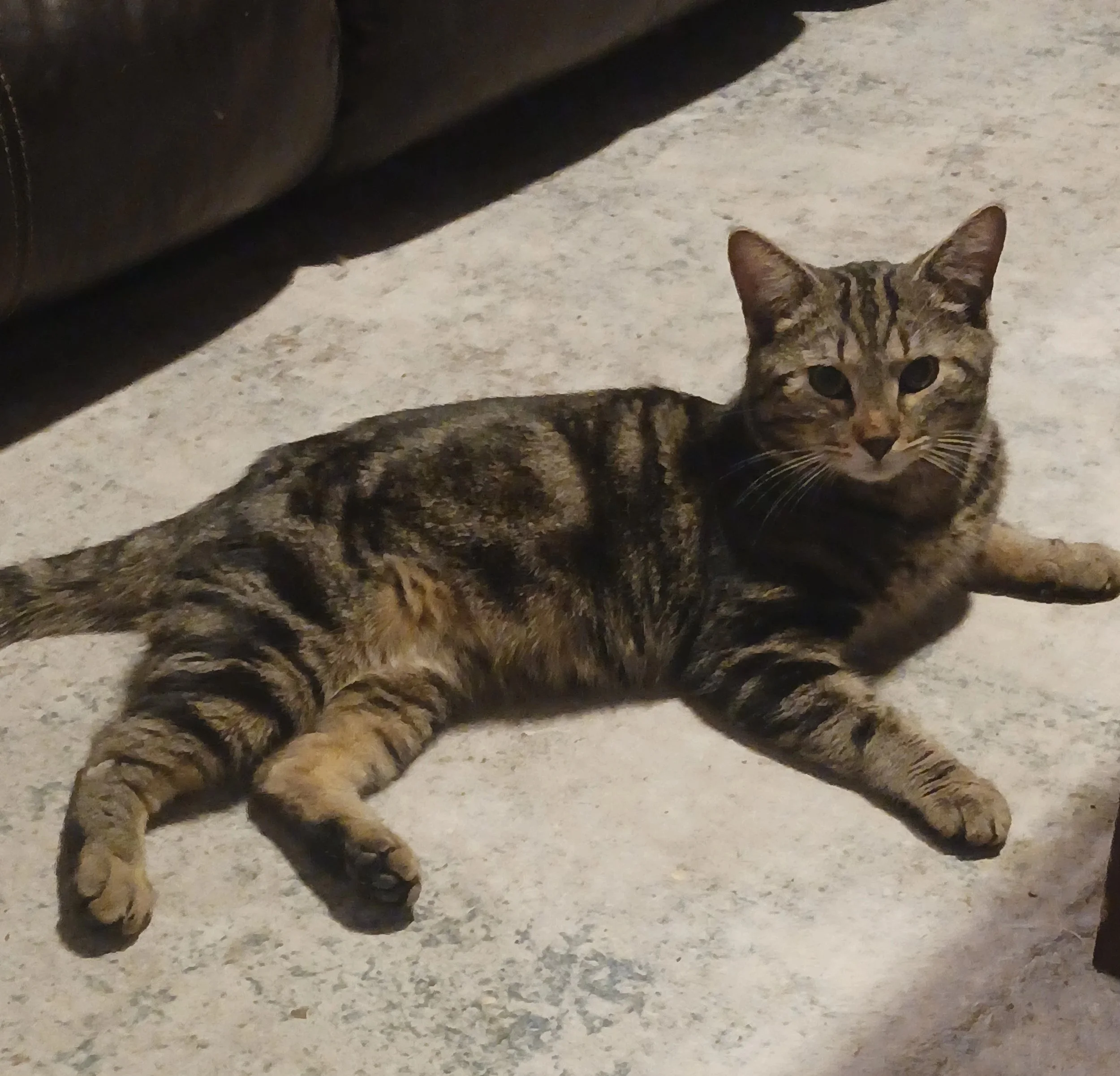 Oliver (Teen Male)