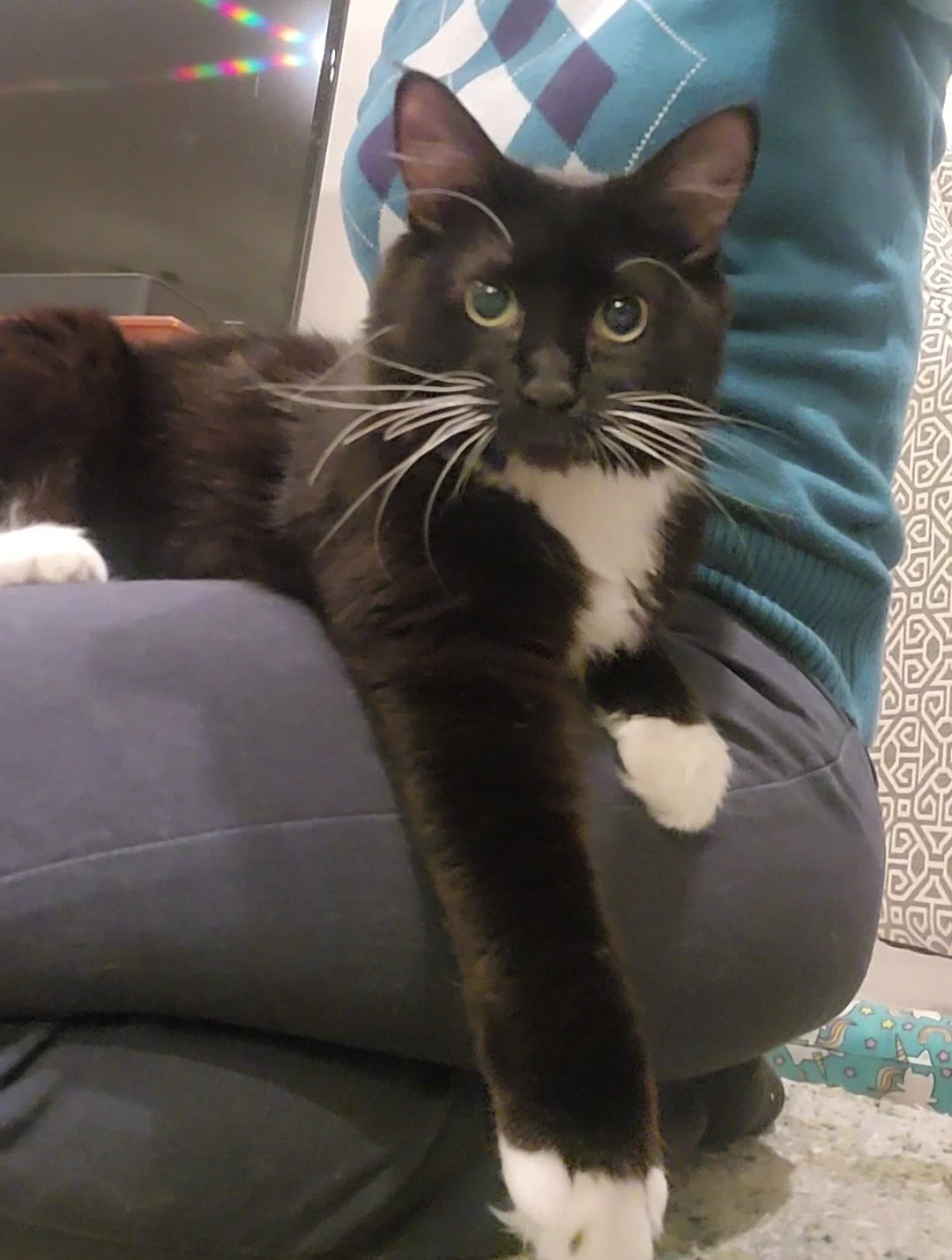 Claire aka Moonlight (Female)