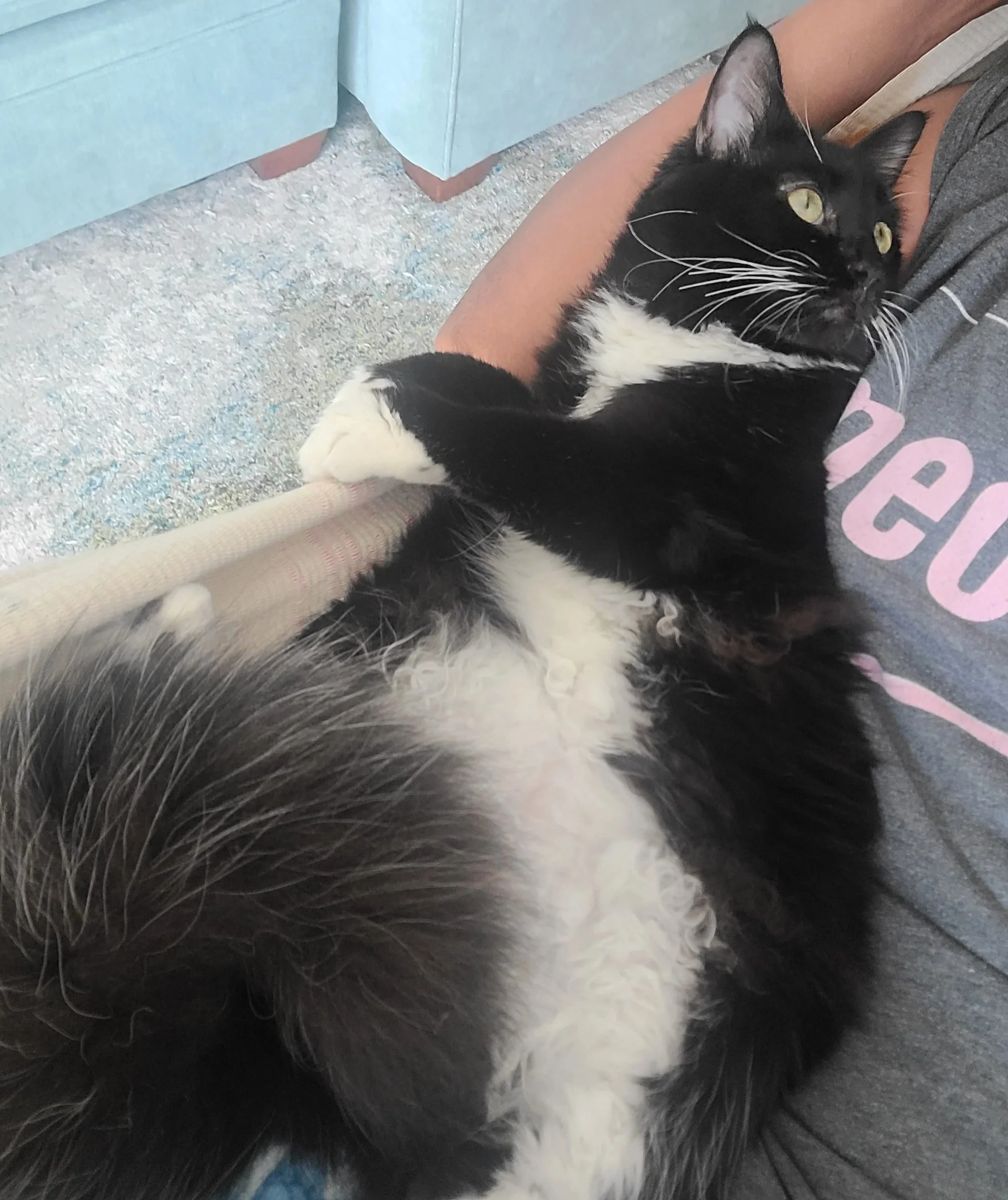 Claire aka Moonlight (Teen Female)