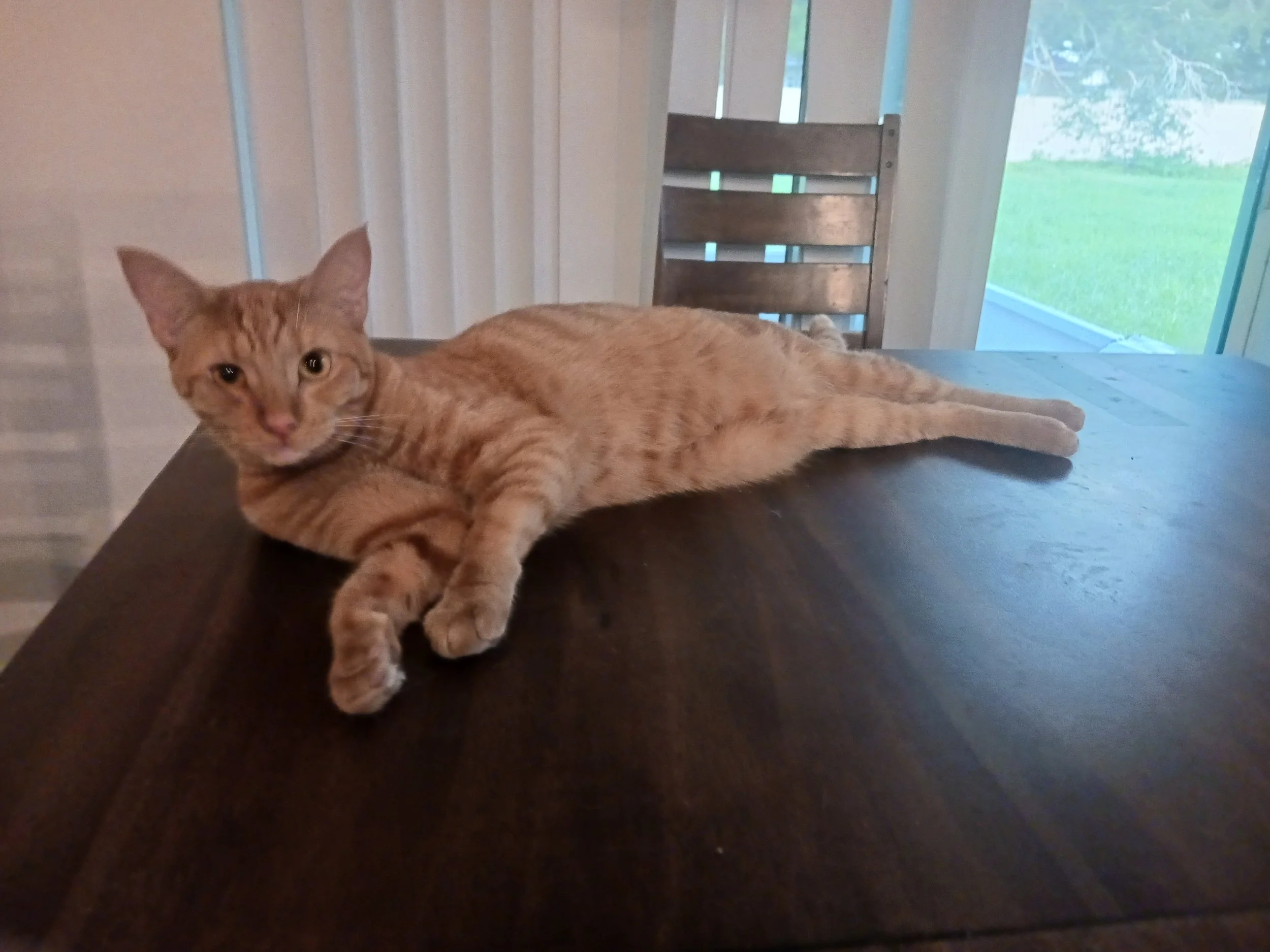 Oats (Teen Female)