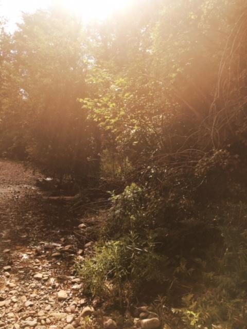 laurel-hill-montana.jpeg