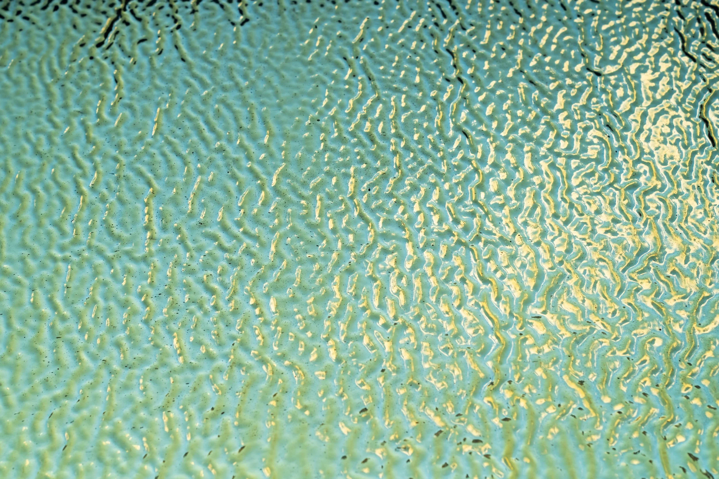 _DSC4163.jpeg