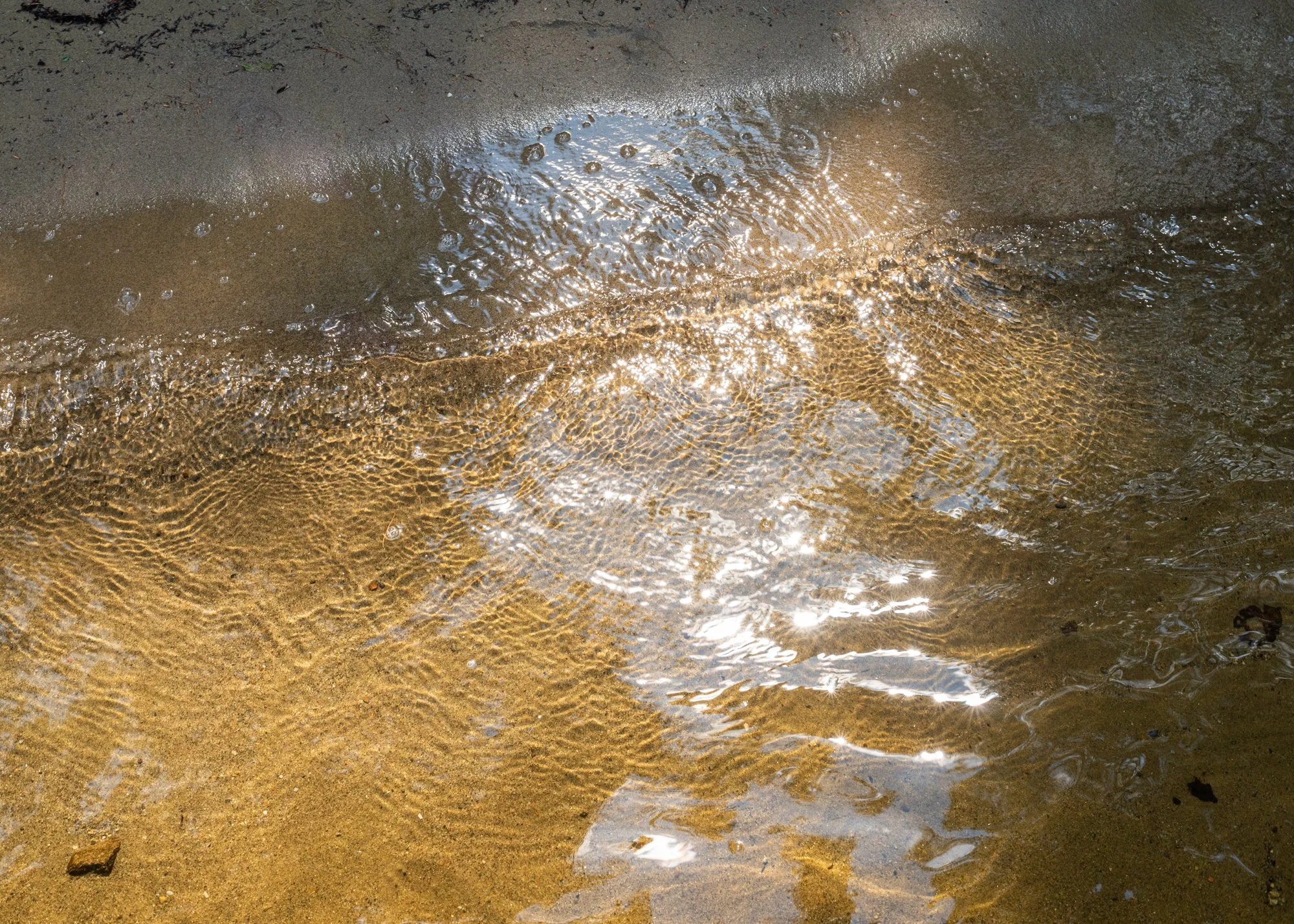 _DSC6701.jpeg