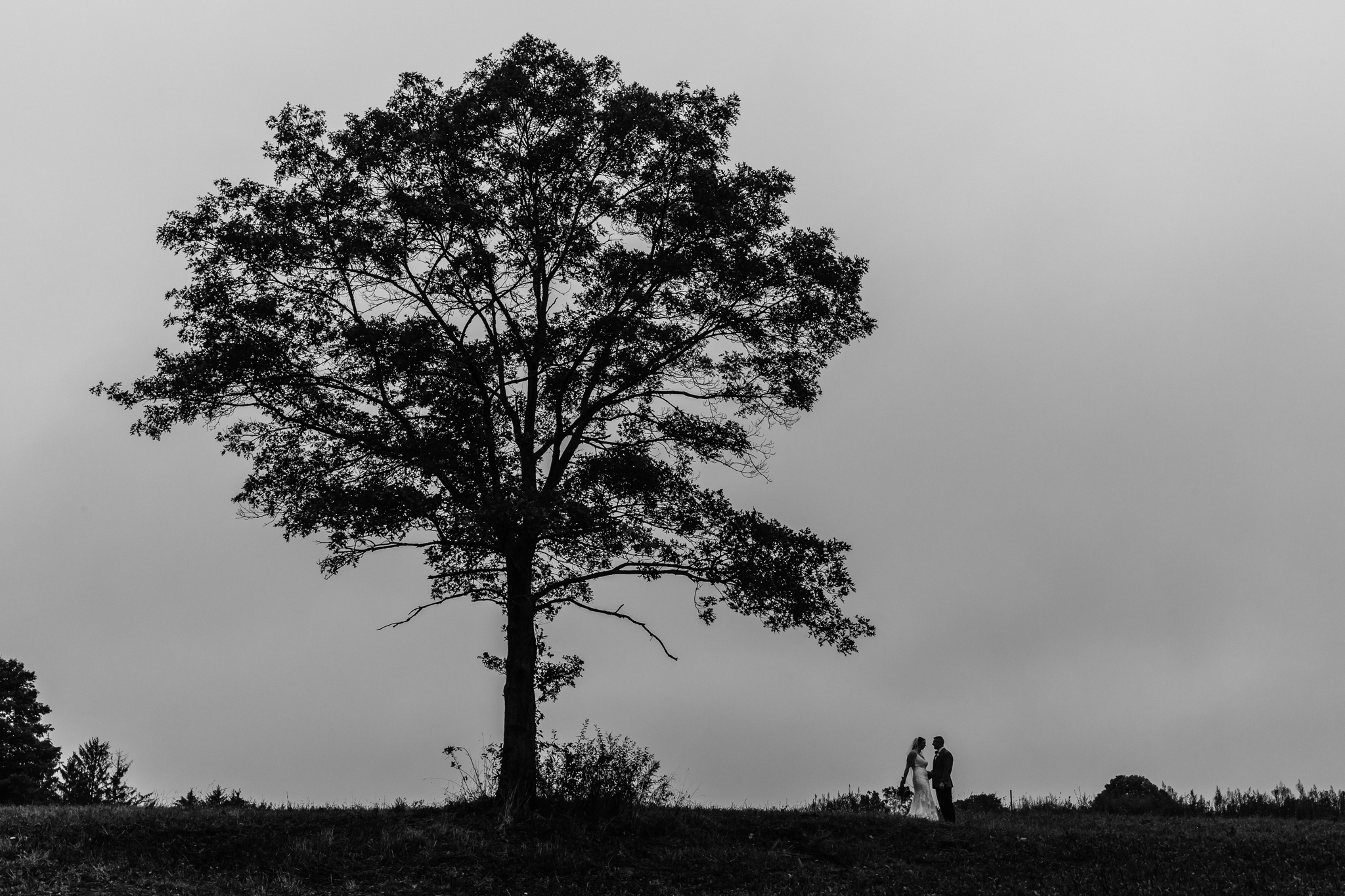 C5D_9177_web.jpg