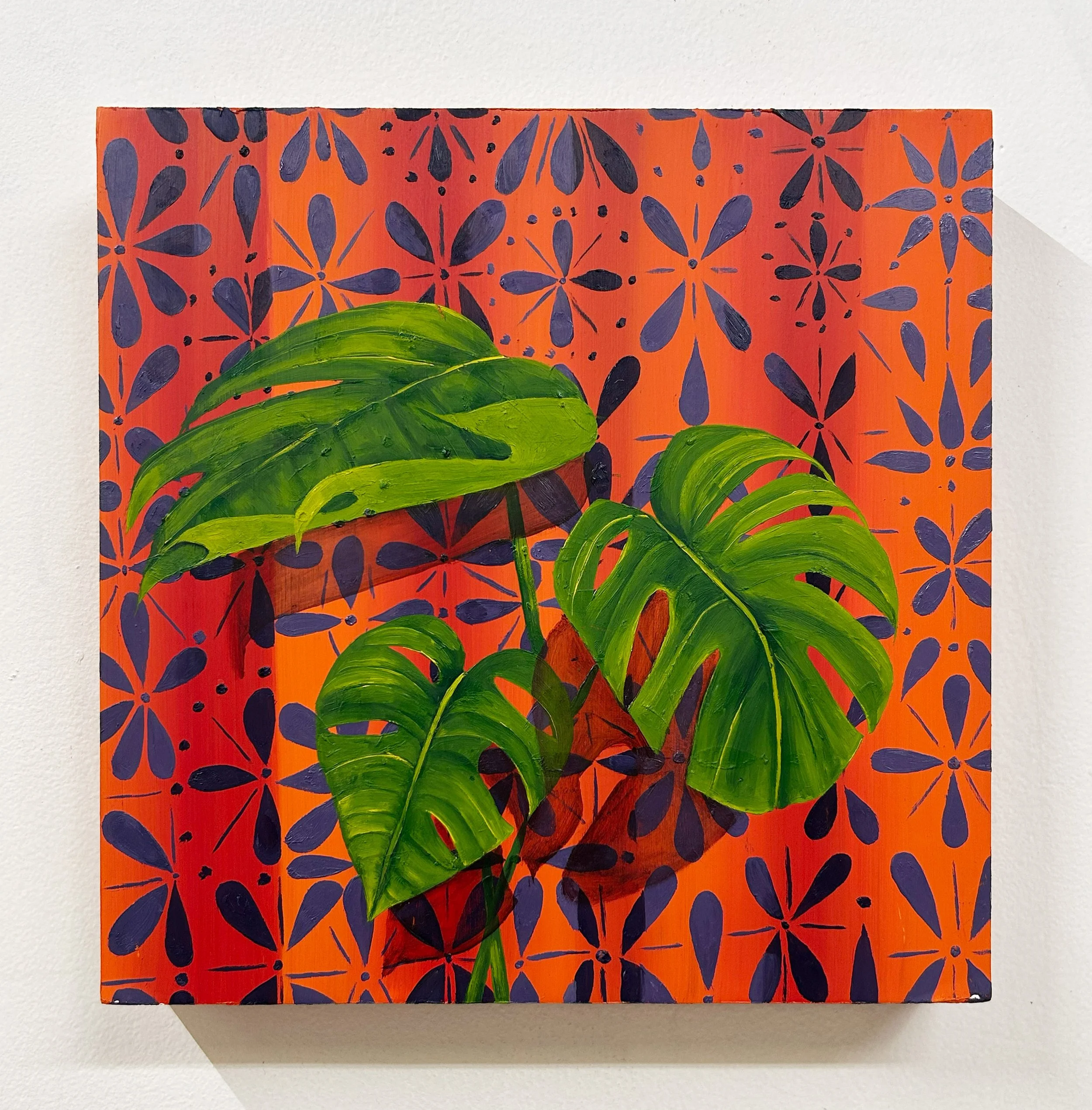 Monstera.jpg