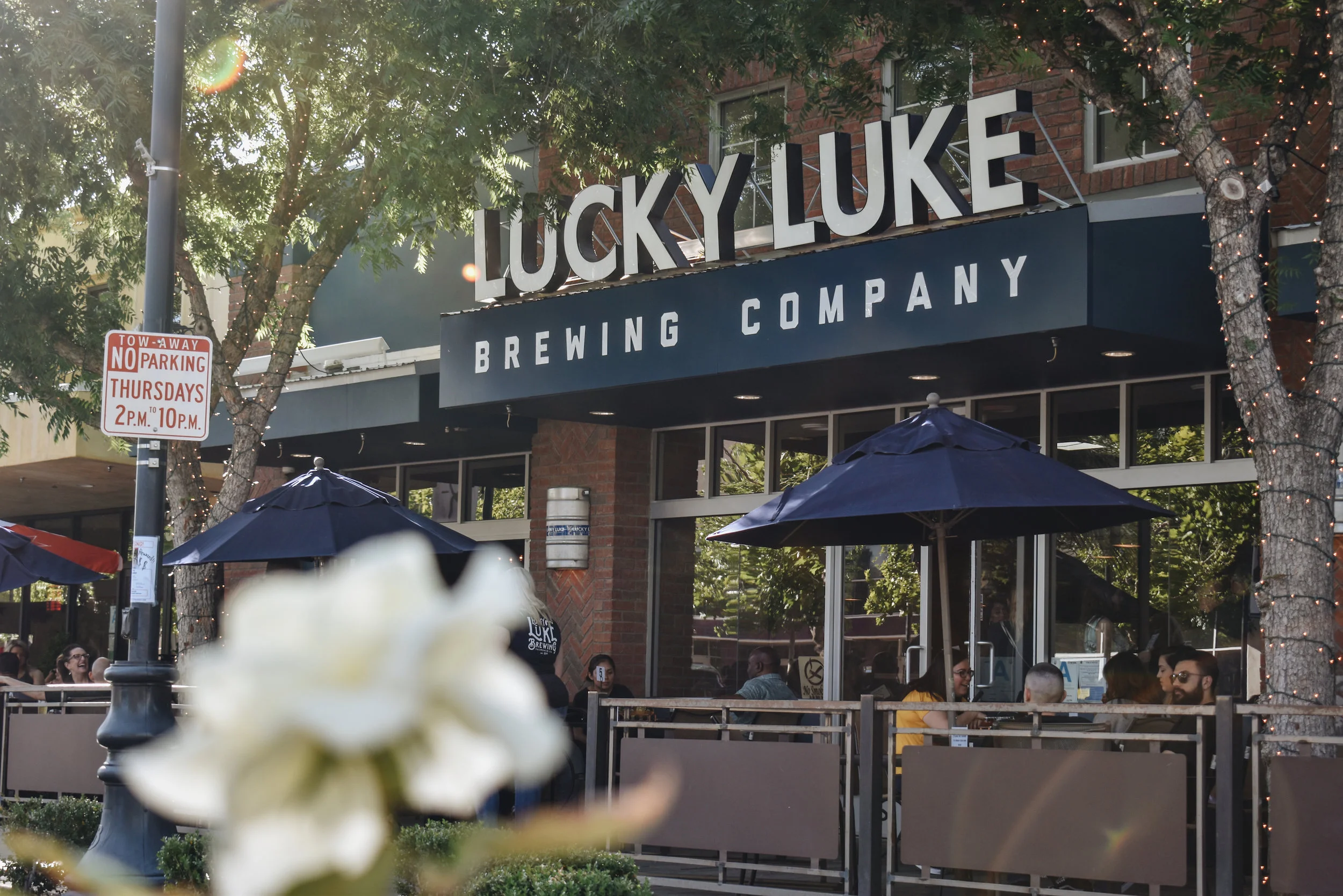 Lucky Luke Brewpub 