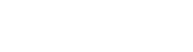 therapy project brain icon white.png