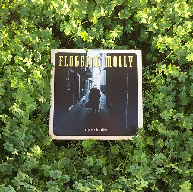 Happy St. Patrick&rsquo;s Day!

Flogging Molly: Drunken Lullabies

Sham&hellip;&hellip;&hellip;Rock.

#floggingmolly #Drunkenlullabies #celticpunk #Irish #stpatricksday #losangeles #dublin #hootysrecords #vinyl #ireland #records #recordcollector #sha