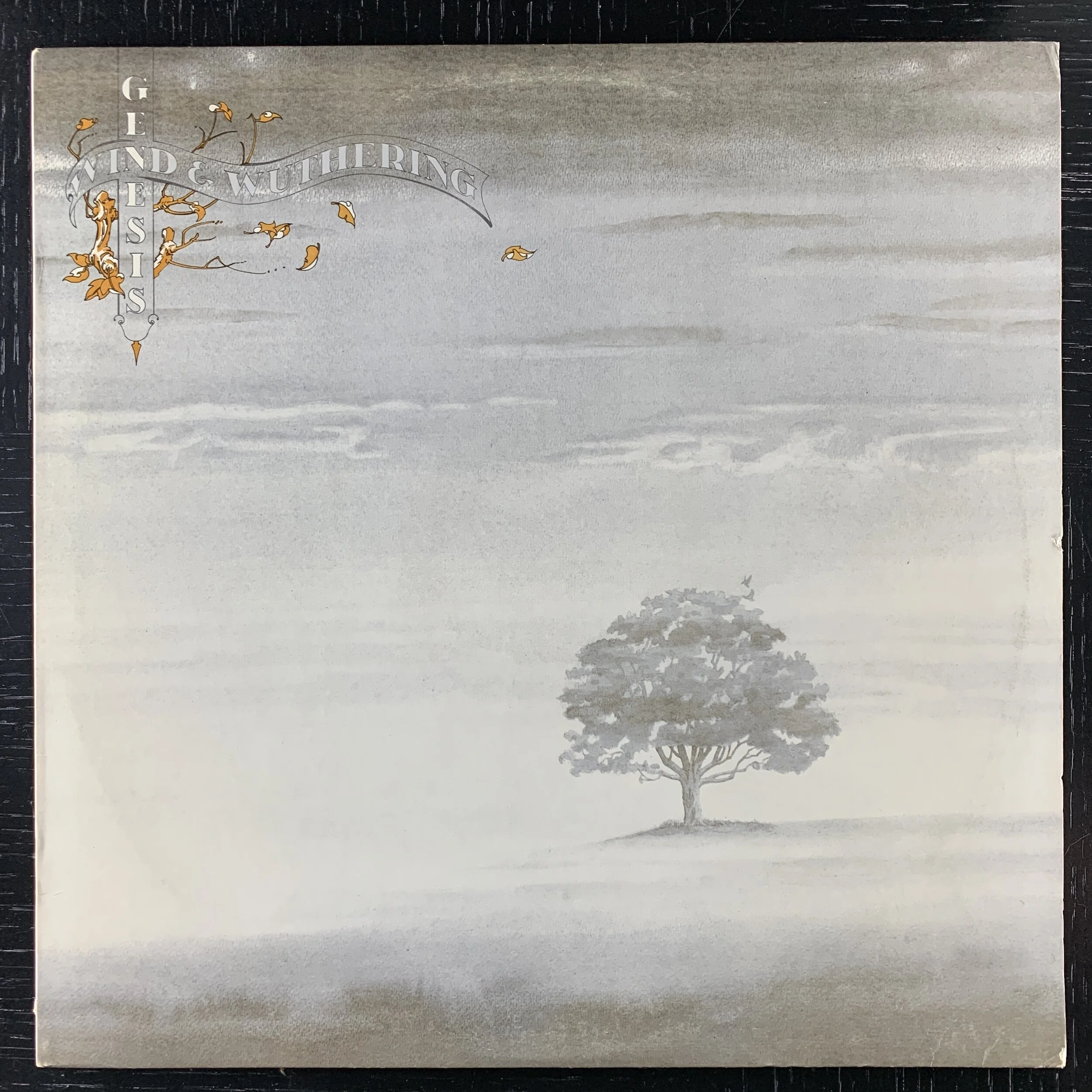 Genesis - Wind &amp; Withering