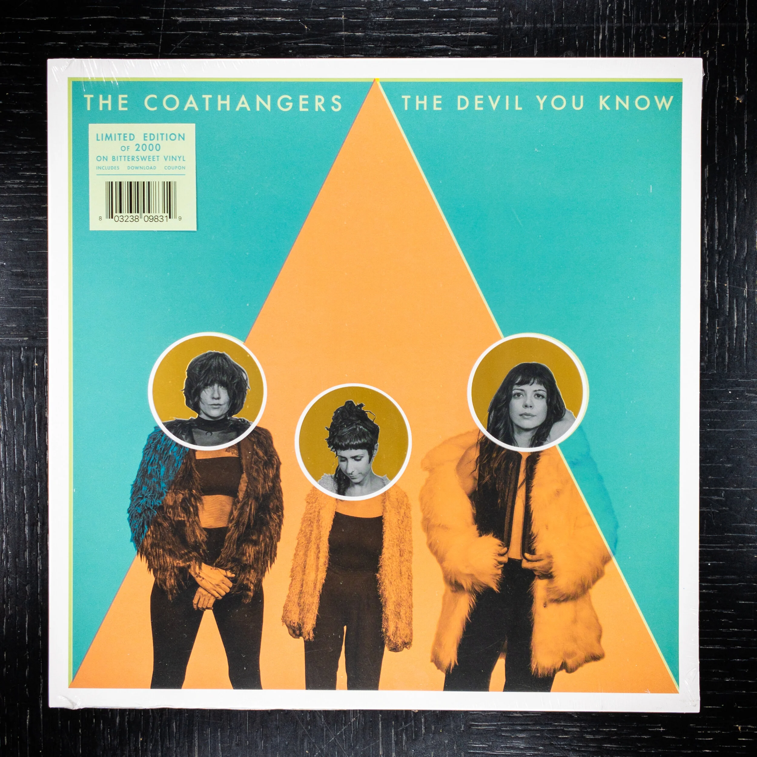The Coathangers ‎– The Devil You Know