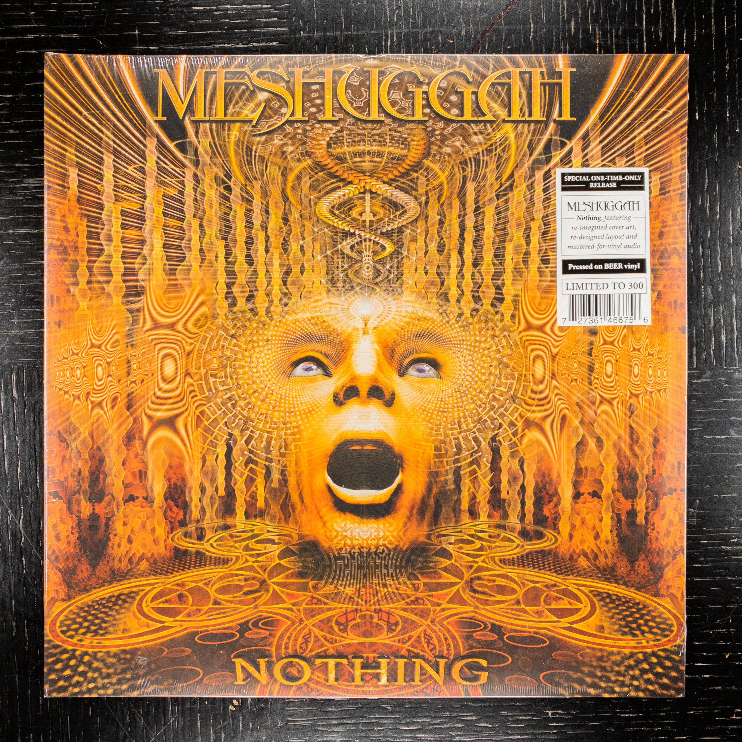 Meshuggah ‎– Nothing