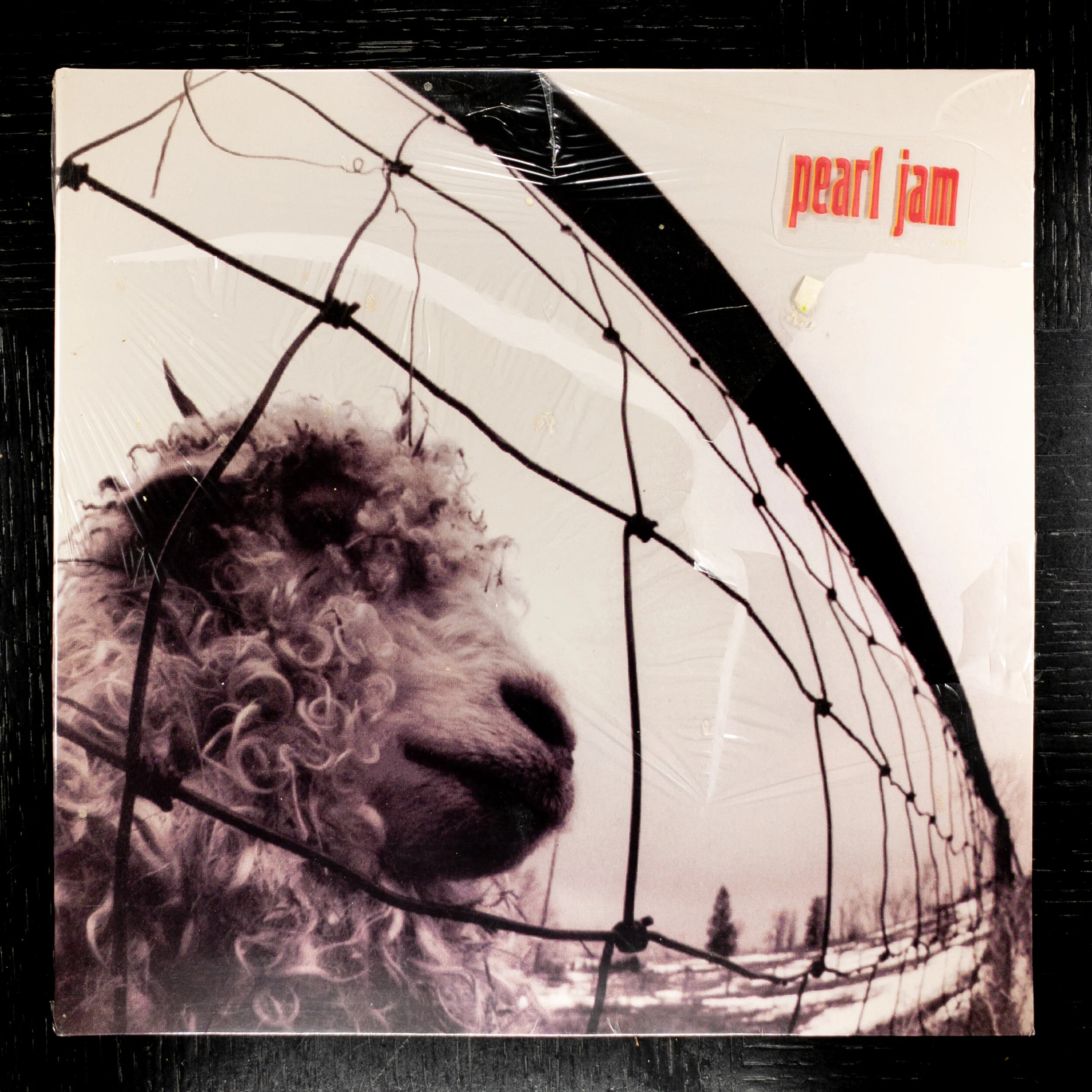 Pearl Jam ‎– Vs