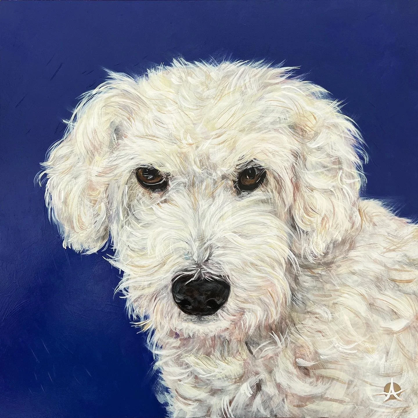 MICHAEL DOG EDDIE WEB.jpg