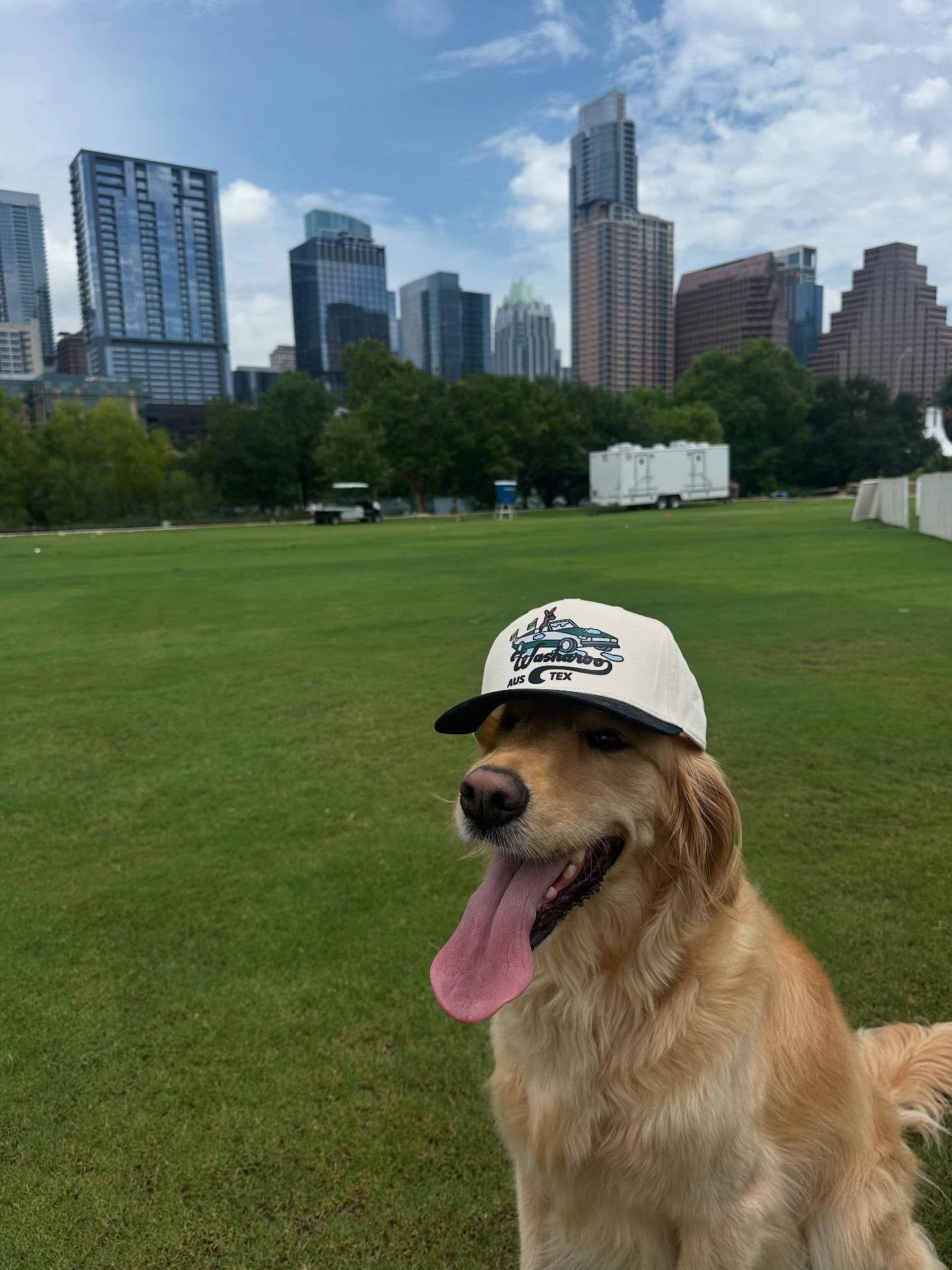 Meet @goodboygooose - he’s a big fan of Auditorium Shores and visits to @washarooatx 💚🐶