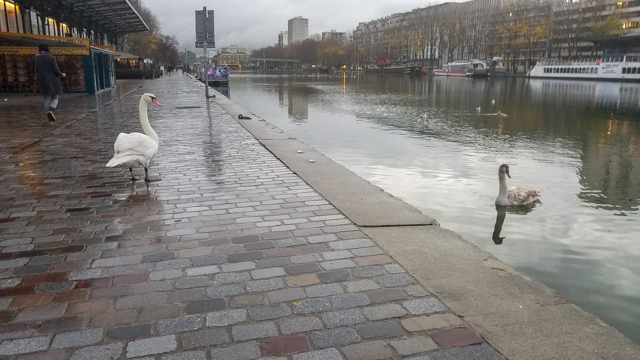 France Trip, December 2018