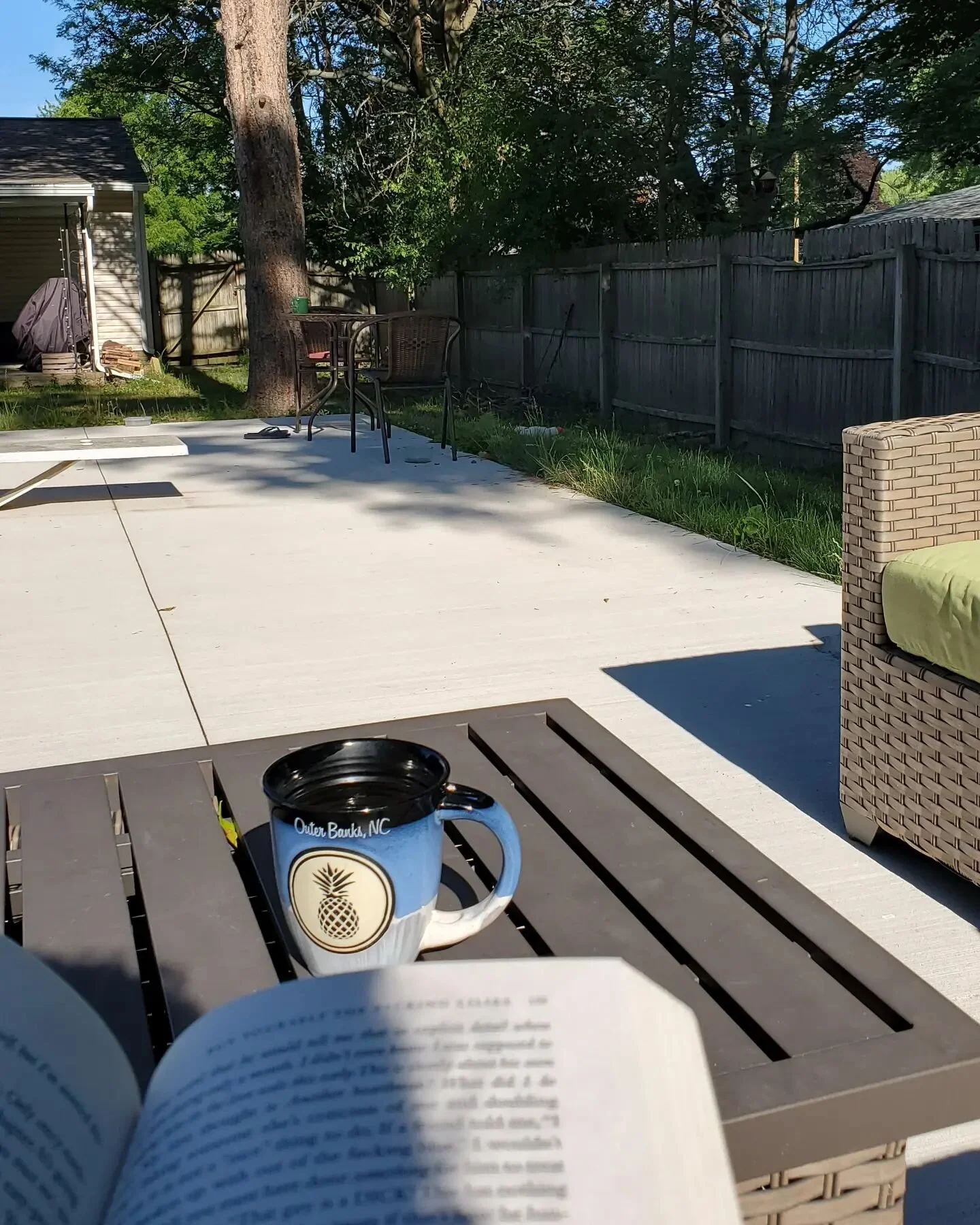 My brother's backyard is a sanctuary. It's a little slice of heaven of Earth.

There are at least 10 different types of birds who chirp, and play and fly from tree to tree in a canopy of pine, maple and walnut trees. The squirrels, chipmunks, and rab