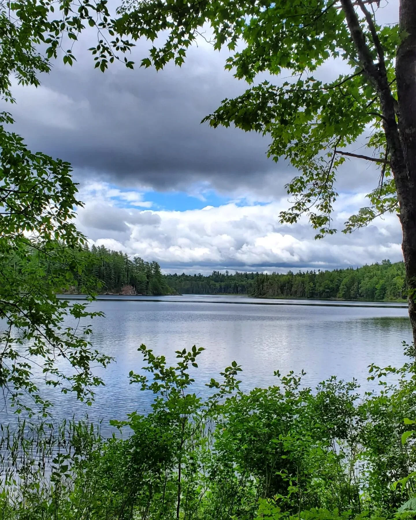 #BrownTractPond camping trip was a success thanks to @johncd03 and perfect weather. 🏕🍻
.
.
.
#camping #optoutside #outdoorsy #adirondacksny