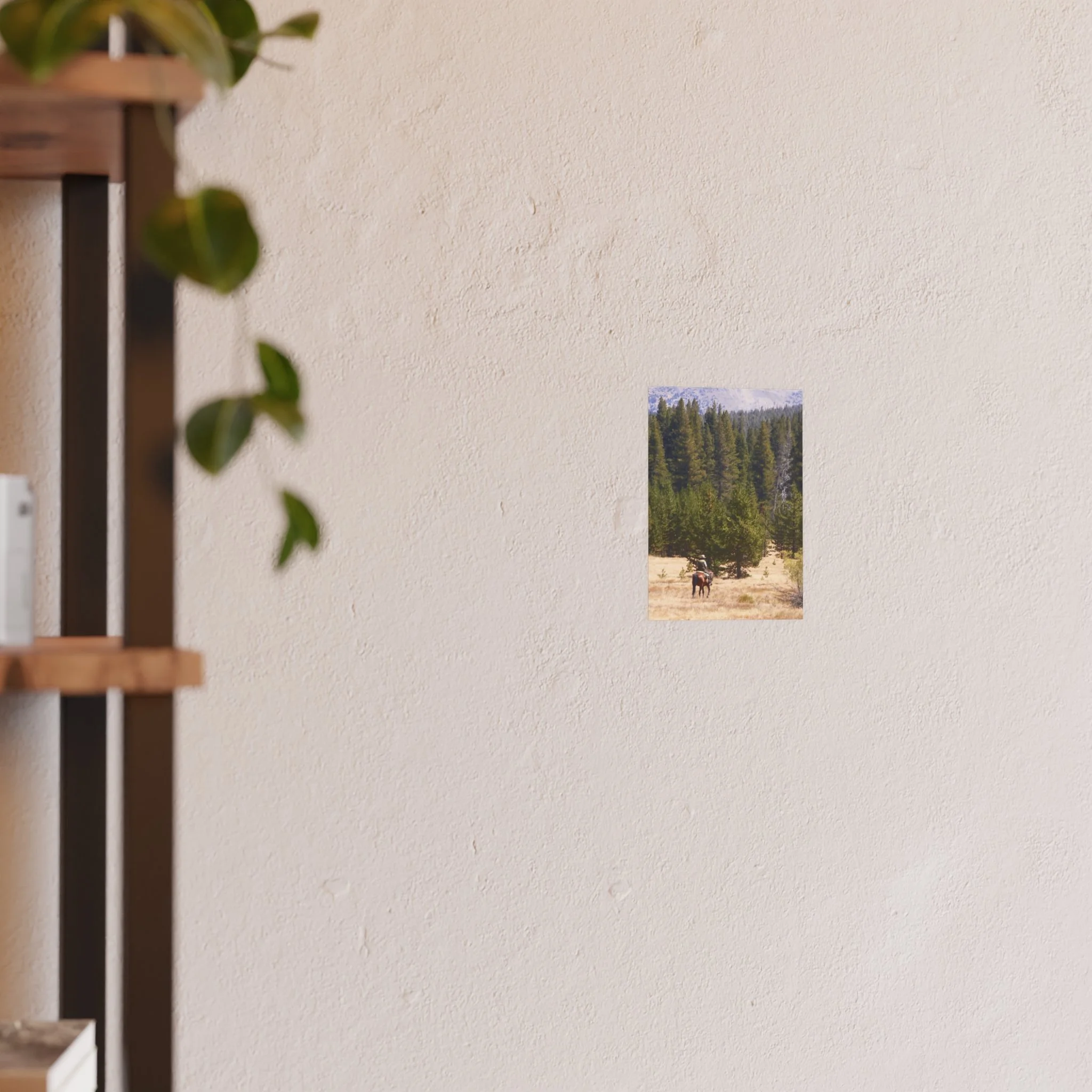 1dbae0b3e5d5be55d7e56671ce4dae2d